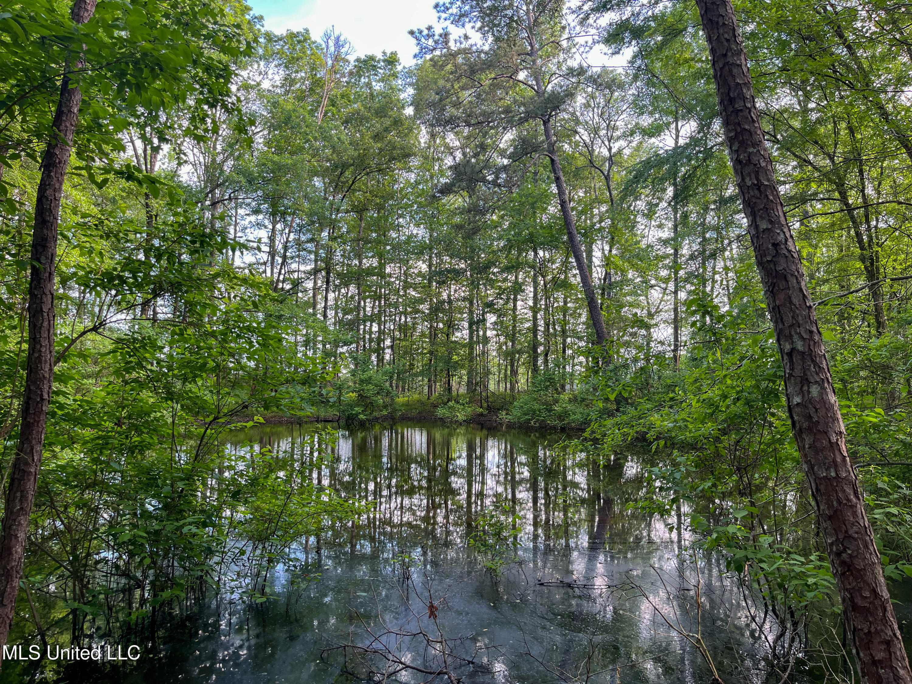85 Alexander Road Jayess, MS 39641 - Photo 60 of 175 IMG_9921