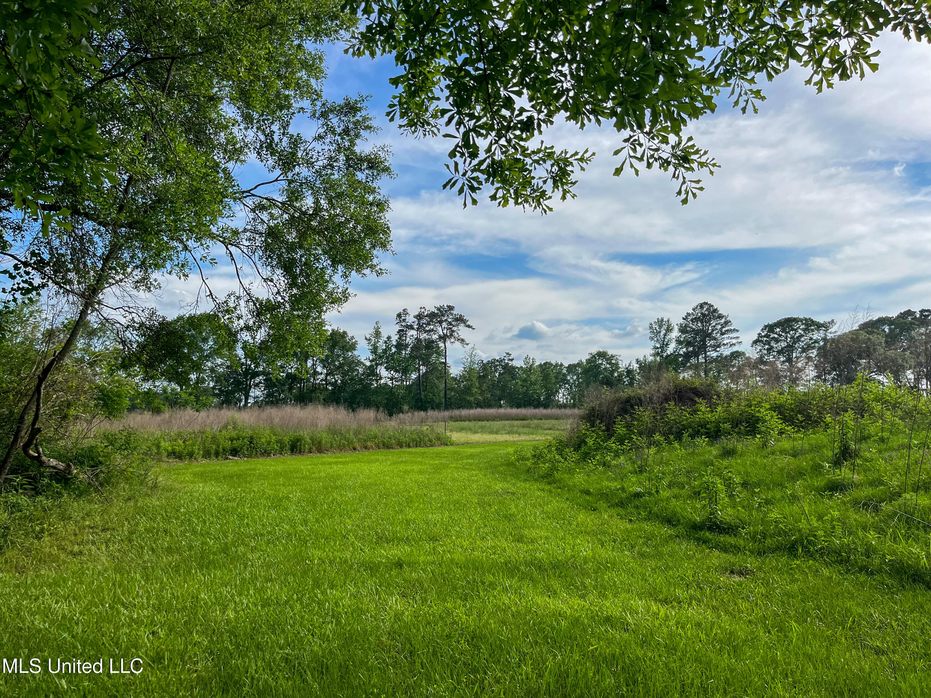 85 Alexander Road Jayess, MS 39641 - Photo 69 of 175 IMG_9930