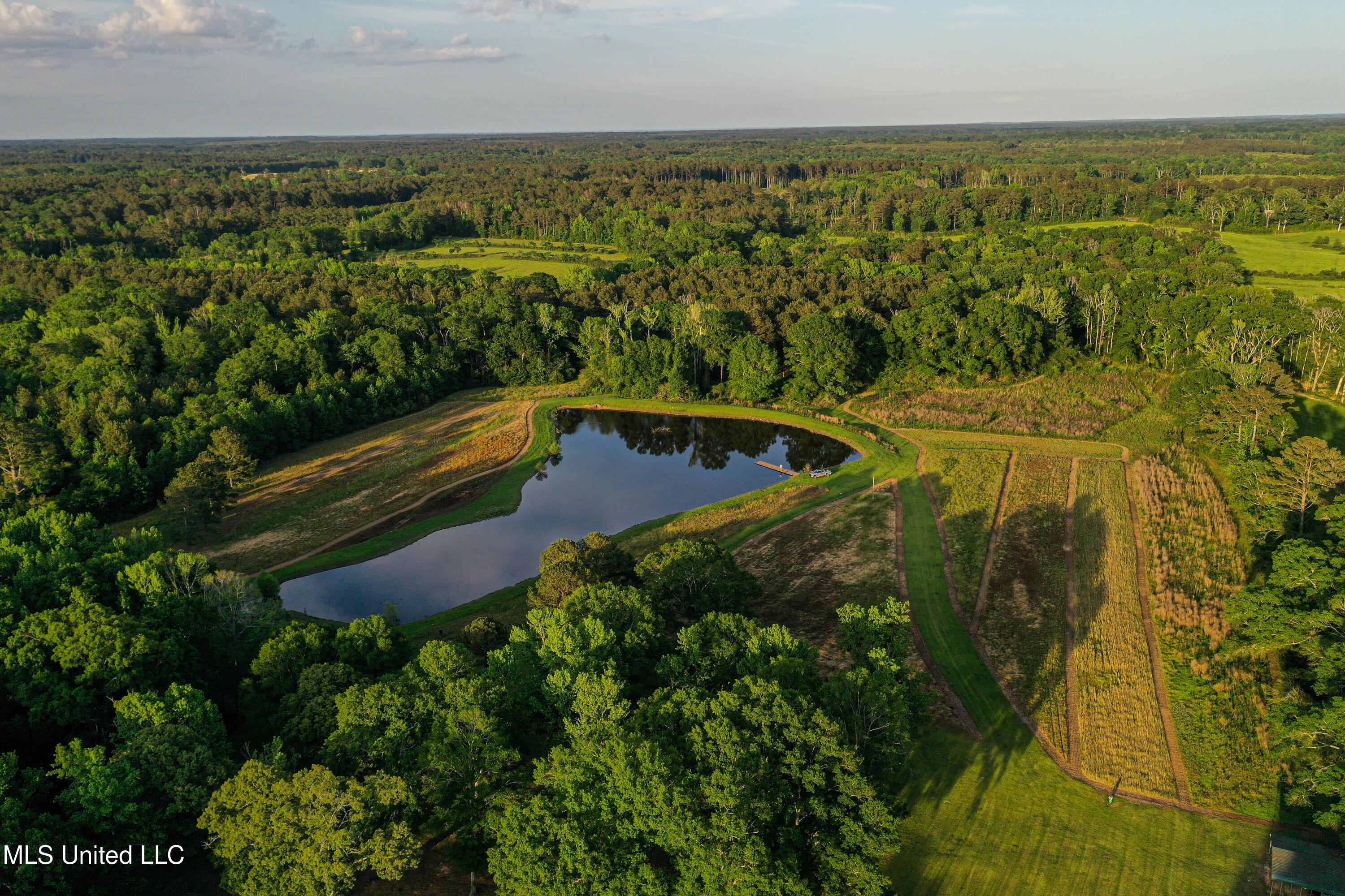 85 Alexander Road Jayess, MS 39641 - Photo 7 of 175 DJI_0141