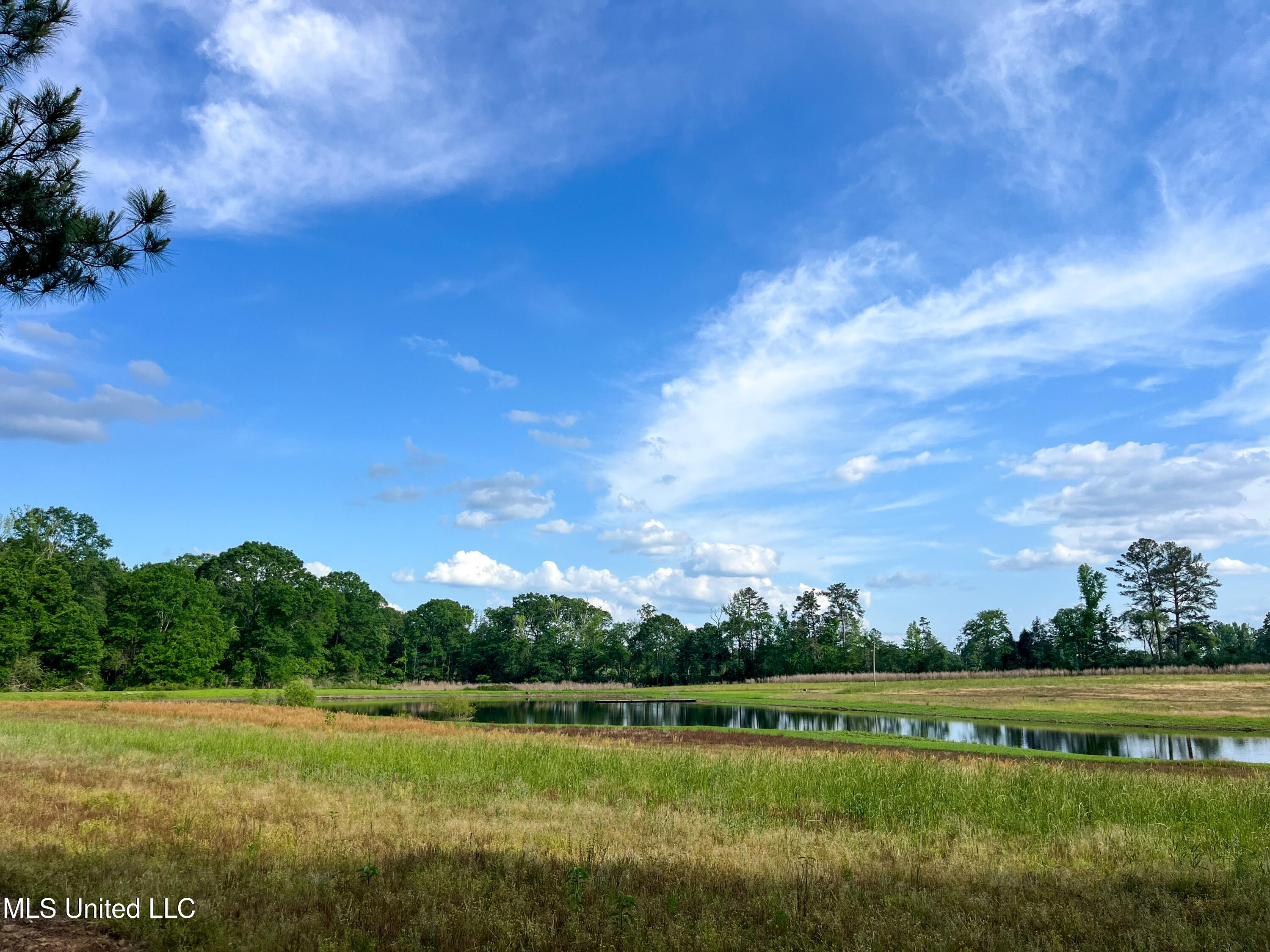85 Alexander Road Jayess, MS 39641 - Photo 71 of 175 IMG_9934
