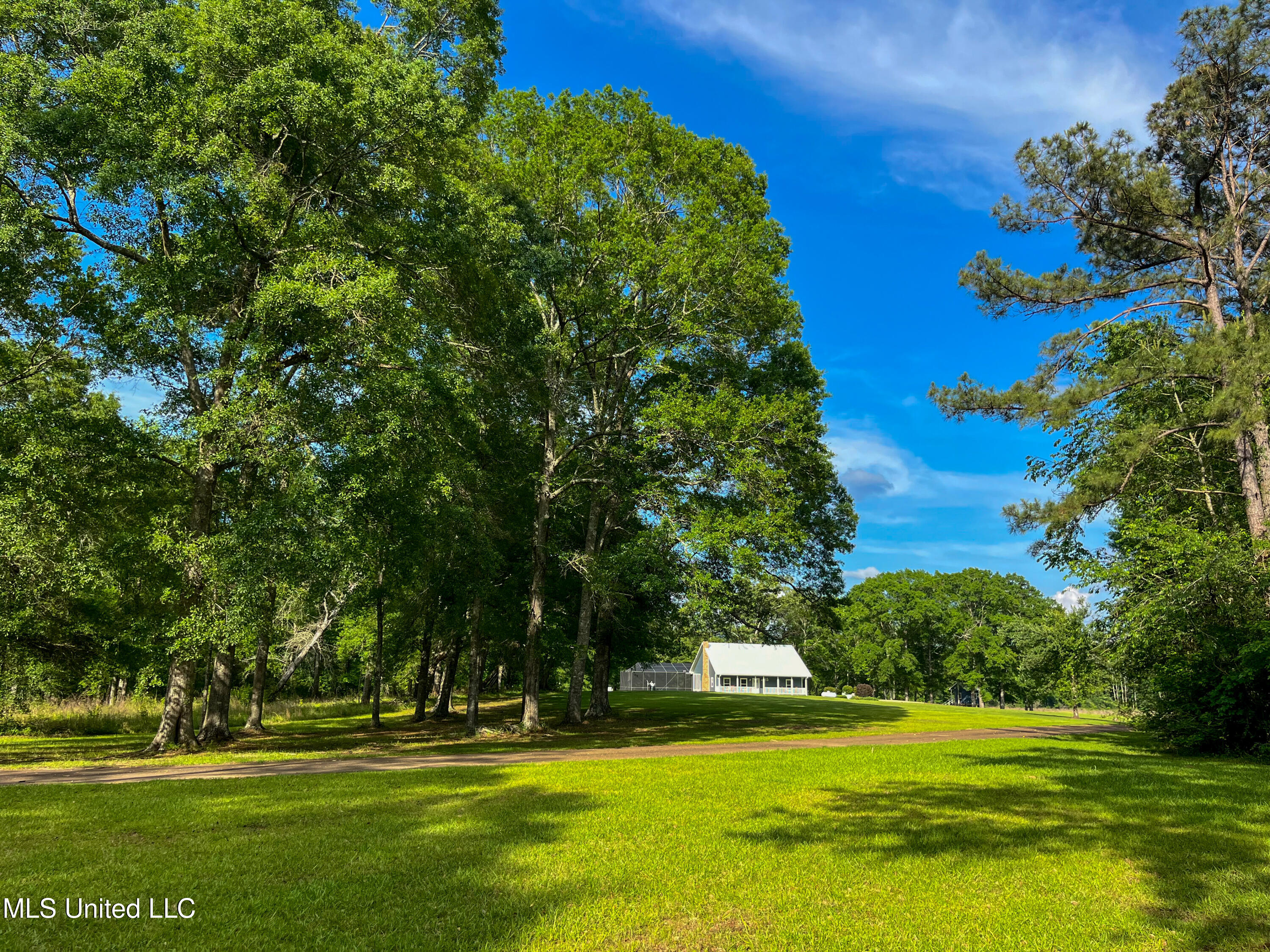 85 Alexander Road Jayess, MS 39641 - Photo 78 of 175 IMG_9942