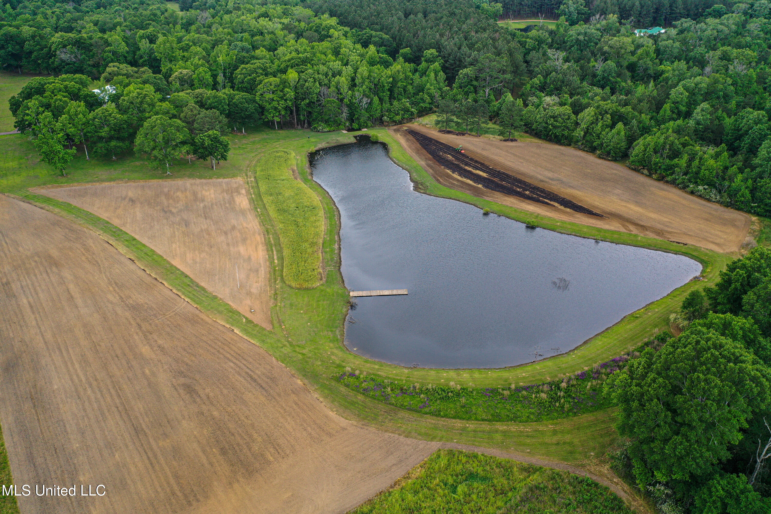 85 Alexander Road Jayess, MS 39641 - Photo 91 of 175 DJI_0688