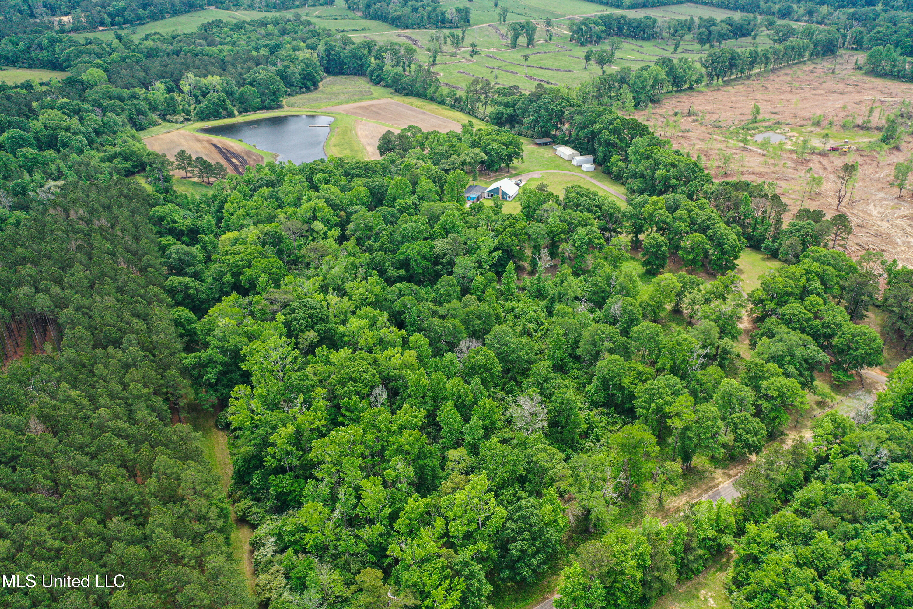 85 Alexander Road Jayess, MS 39641 - Photo 97 of 175 DJI_0707