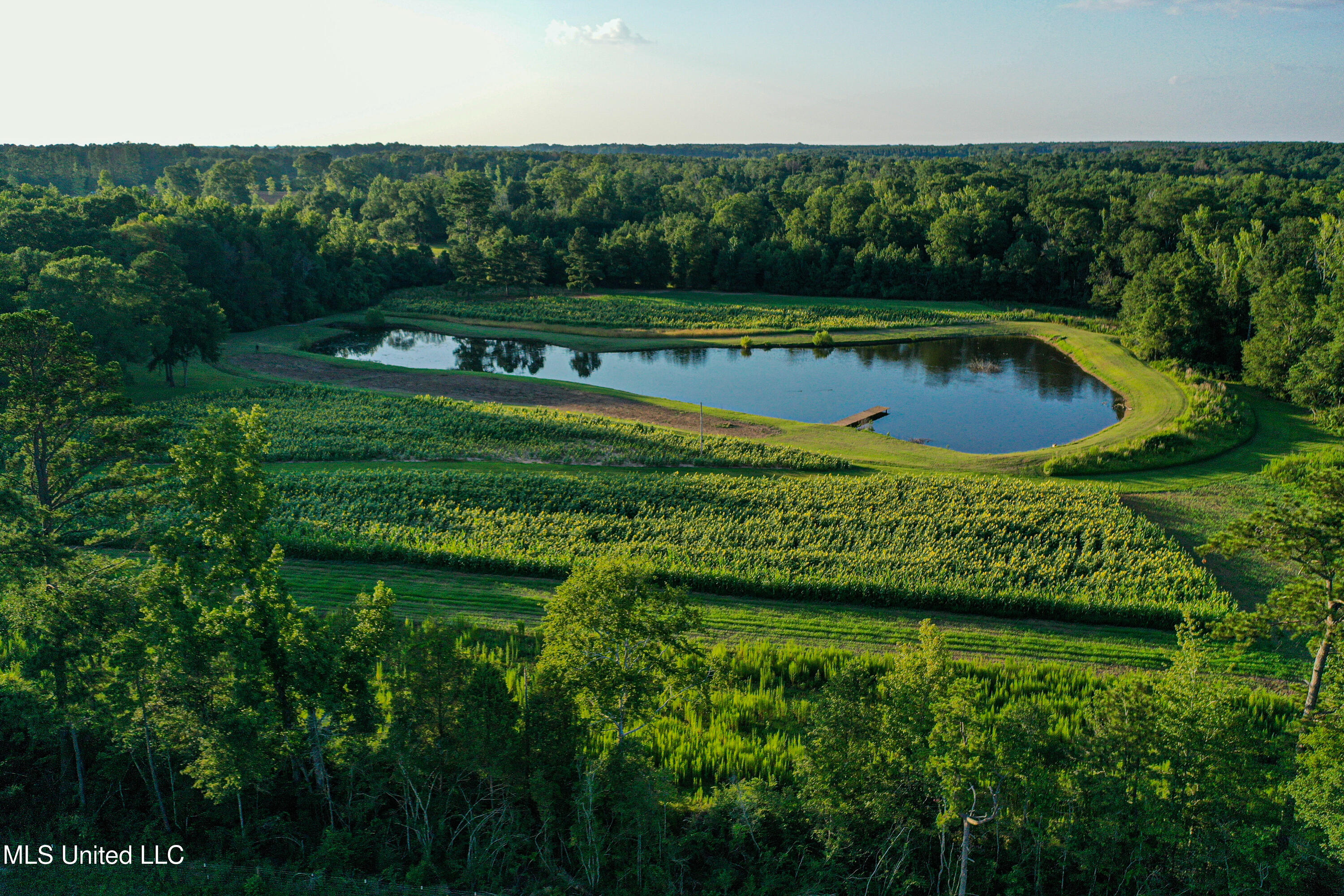 85 Alexander Road Jayess, MS 39641 - Photo 98 of 175 DJI_0825