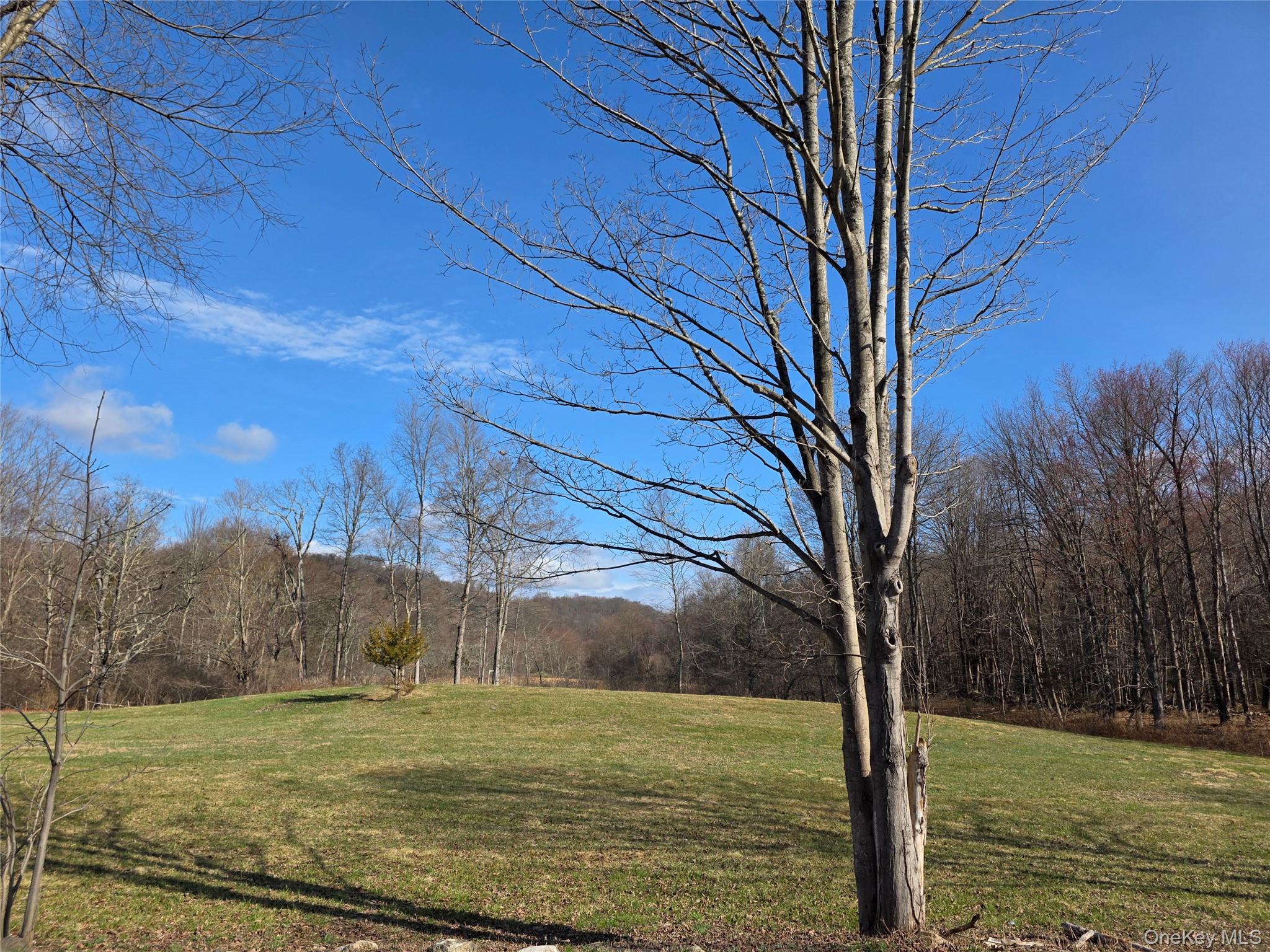 8 Taber Road Sherman, CT 06784 - Photo 13 of 22 a view of a large trees with a tree