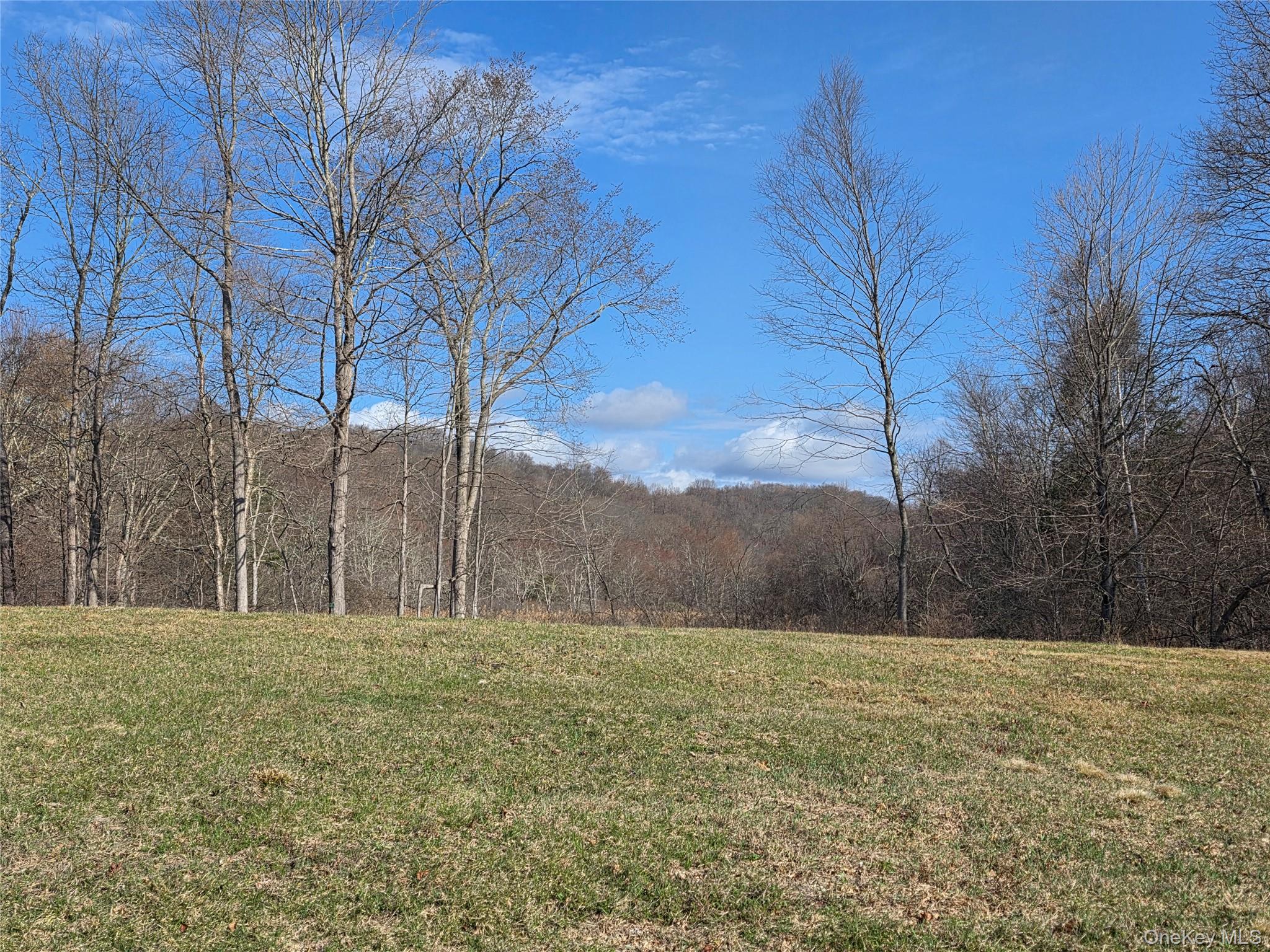 8 Taber Road Sherman, CT 06784 - Photo 16 of 22 a backyard of a house with lots of tall trees