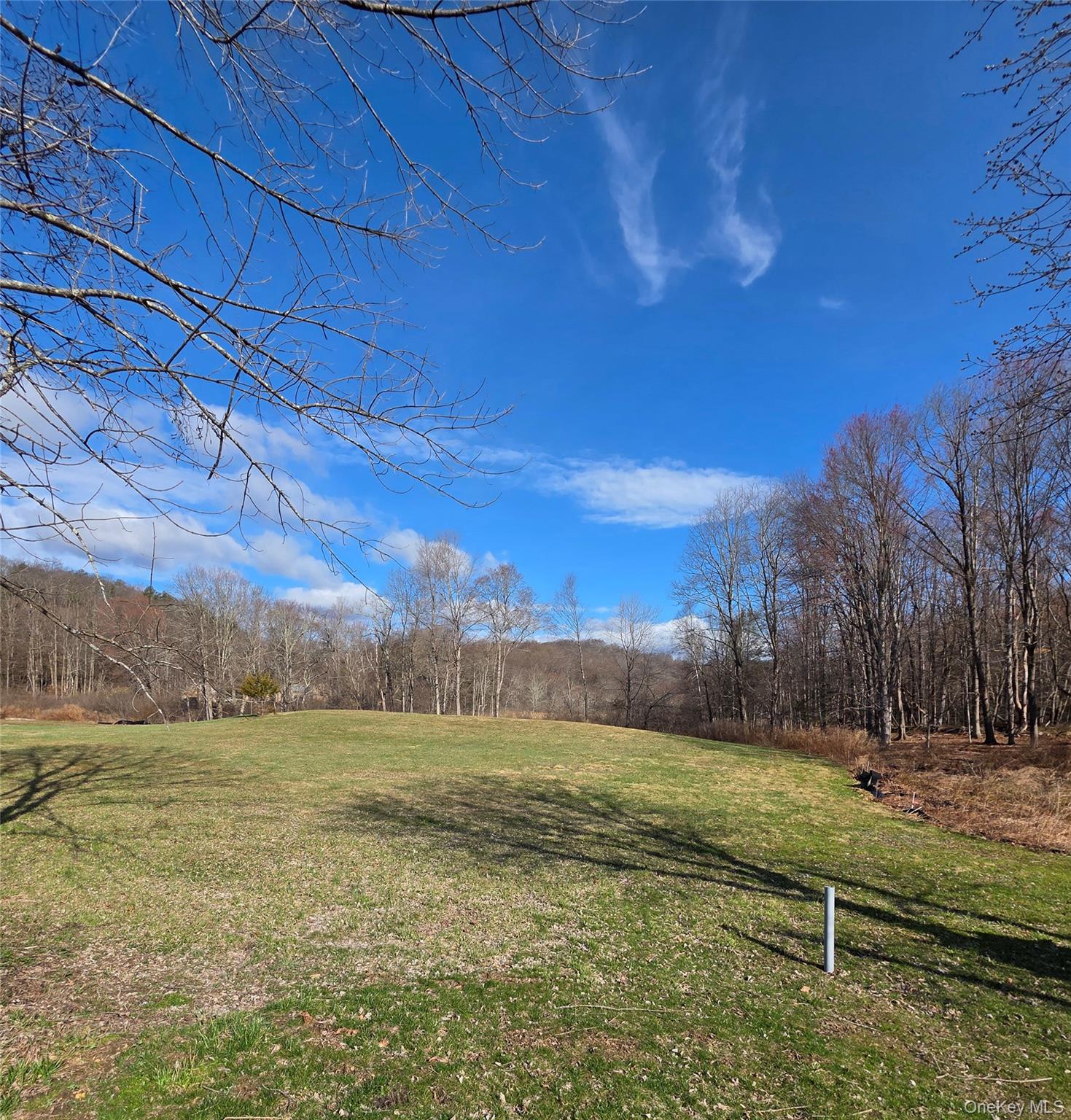 8 Taber Road Sherman, CT 06784 - Photo 21 of 22 a view of a backyard with green space