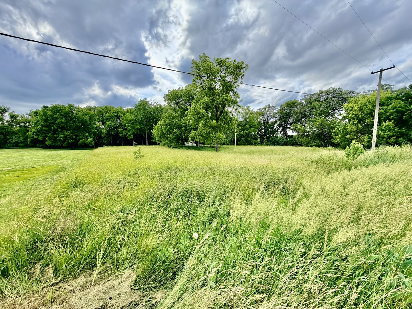 26029 North 1100 E Road Cornell, IL 61319 - Photo 5 of 5