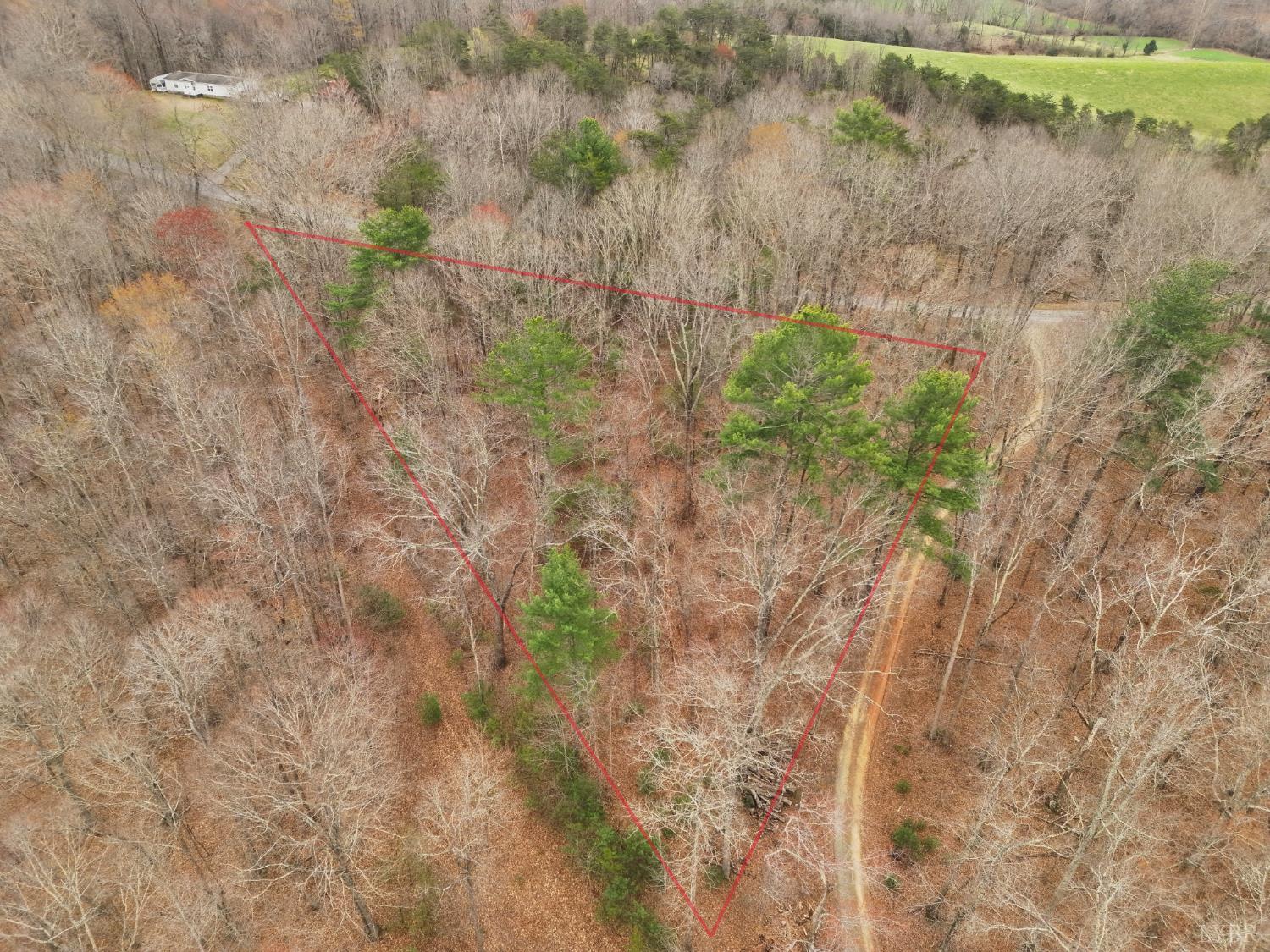 0 Carver Lee Road Henry, VA 24102 - Photo 3 of 8
