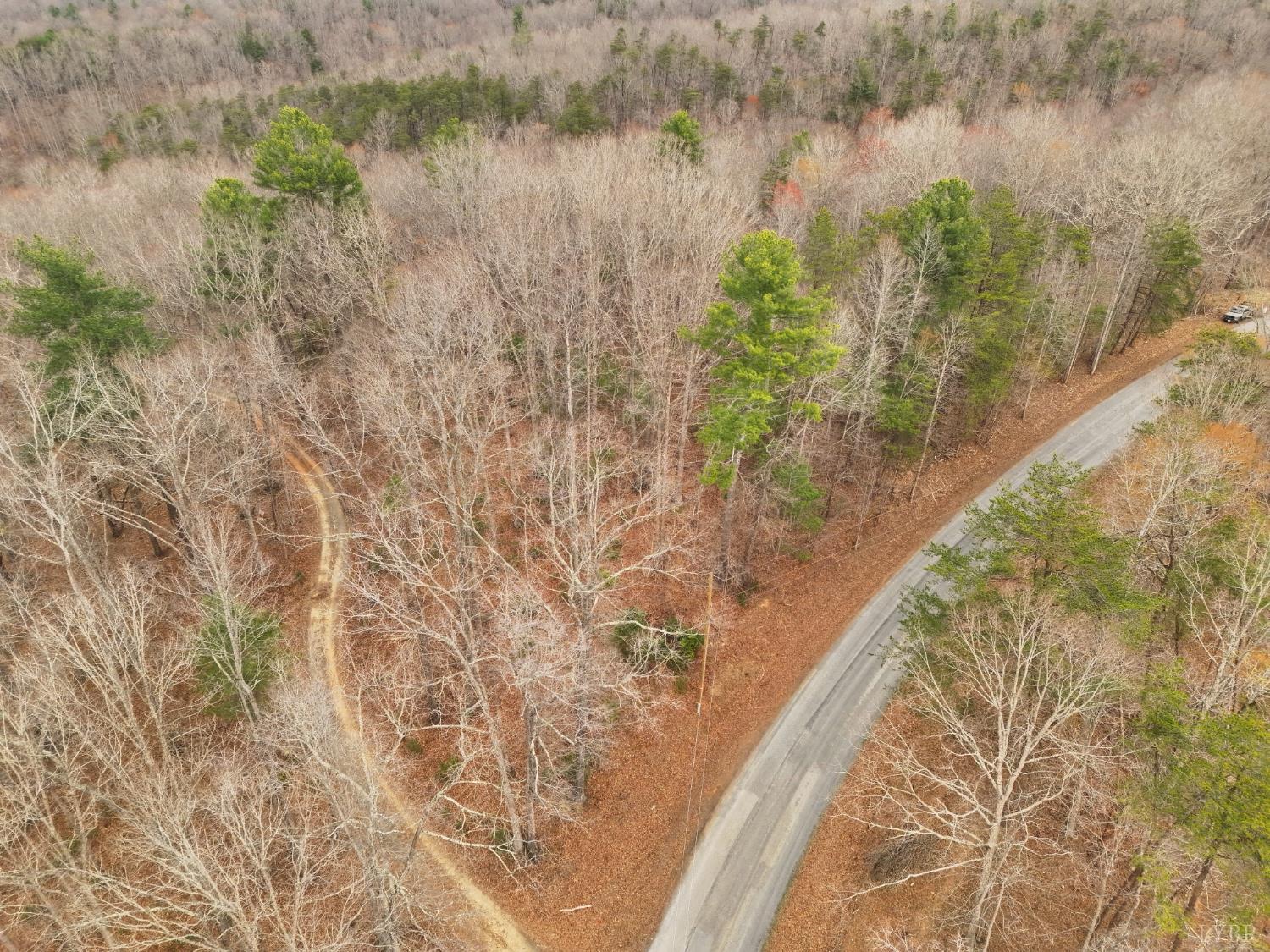 0 Carver Lee Road Henry, VA 24102 - Photo 4 of 8