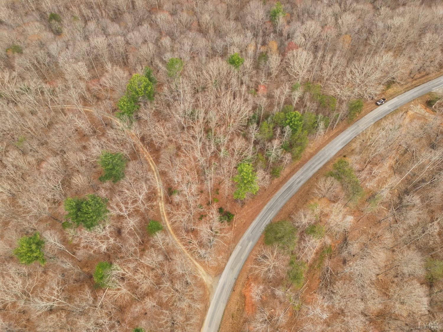 0 Carver Lee Road Henry, VA 24102 - Photo 5 of 8
