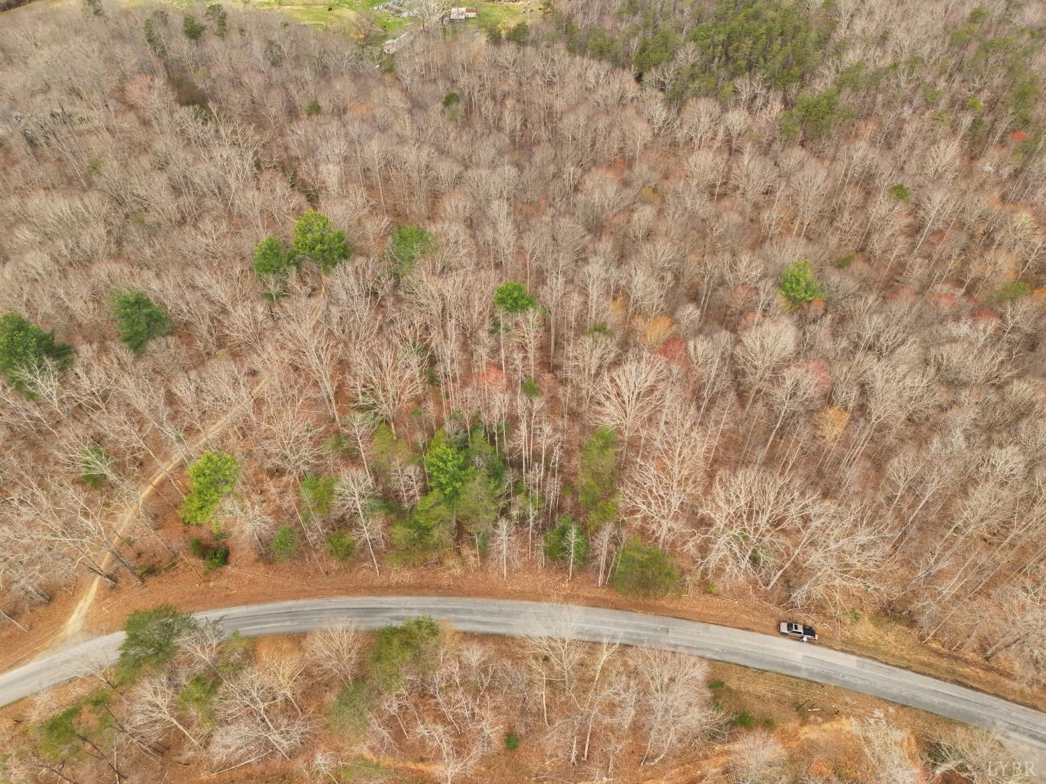 0 Carver Lee Road Henry, VA 24102 - Photo 6 of 8