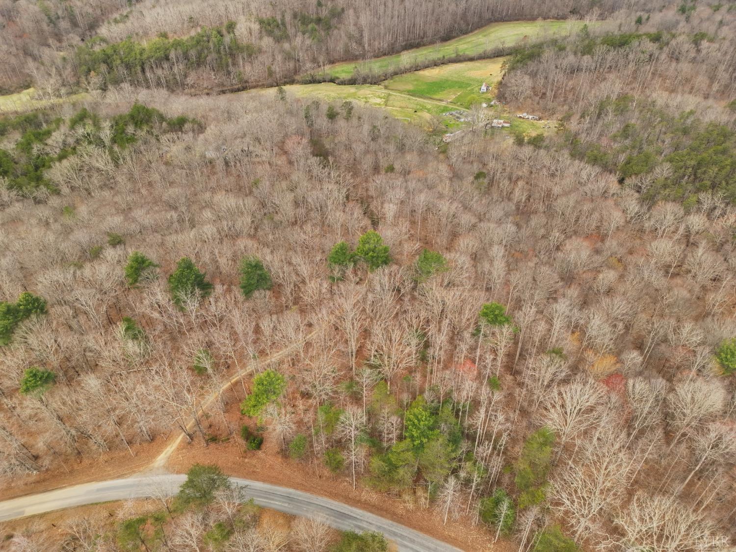0 Carver Lee Road Henry, VA 24102 - Photo 7 of 8