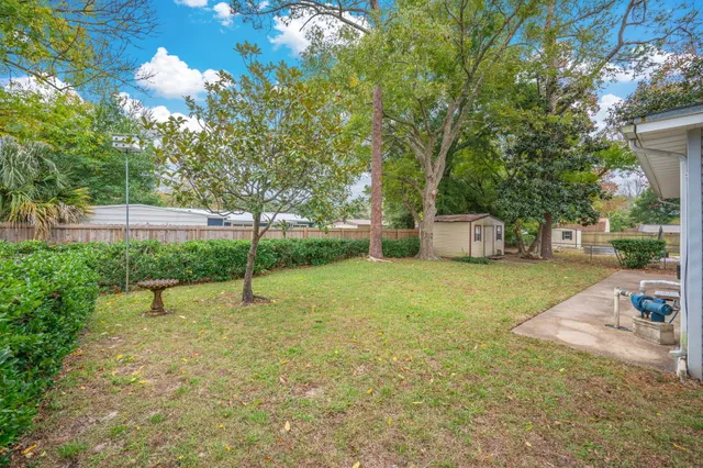 a view of a park with large trees