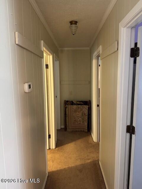 666 Faith Road Pembroke, NC 28372 - Photo 18 of 22 Gallery Image 18