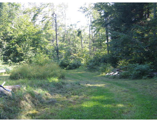 276 Alexander Road Leyden, MA 01337 - Photo 3 of 4