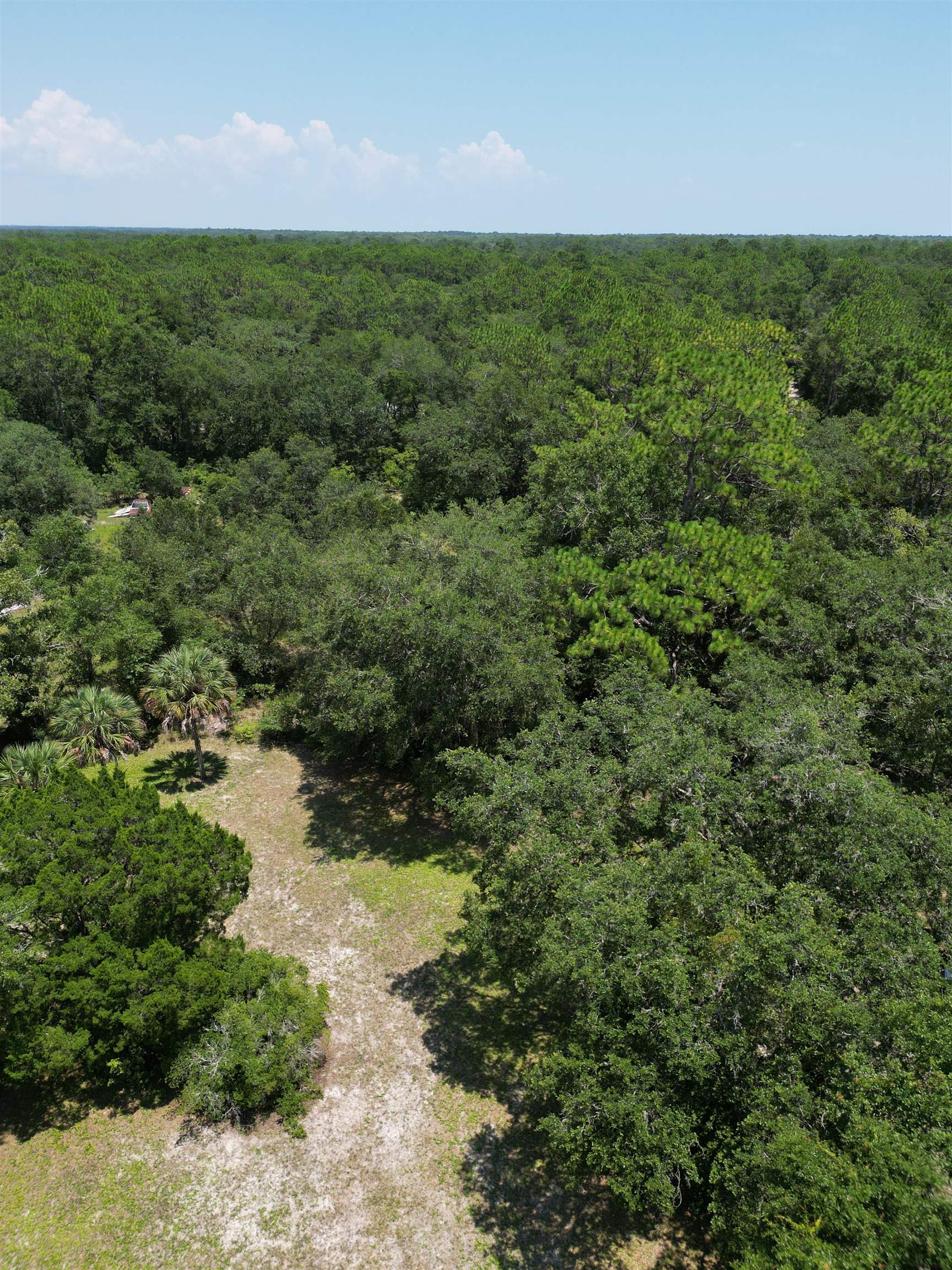Carter Road Crawfordville, FL 32327 - Photo 3 of 6 Gallery Image 3