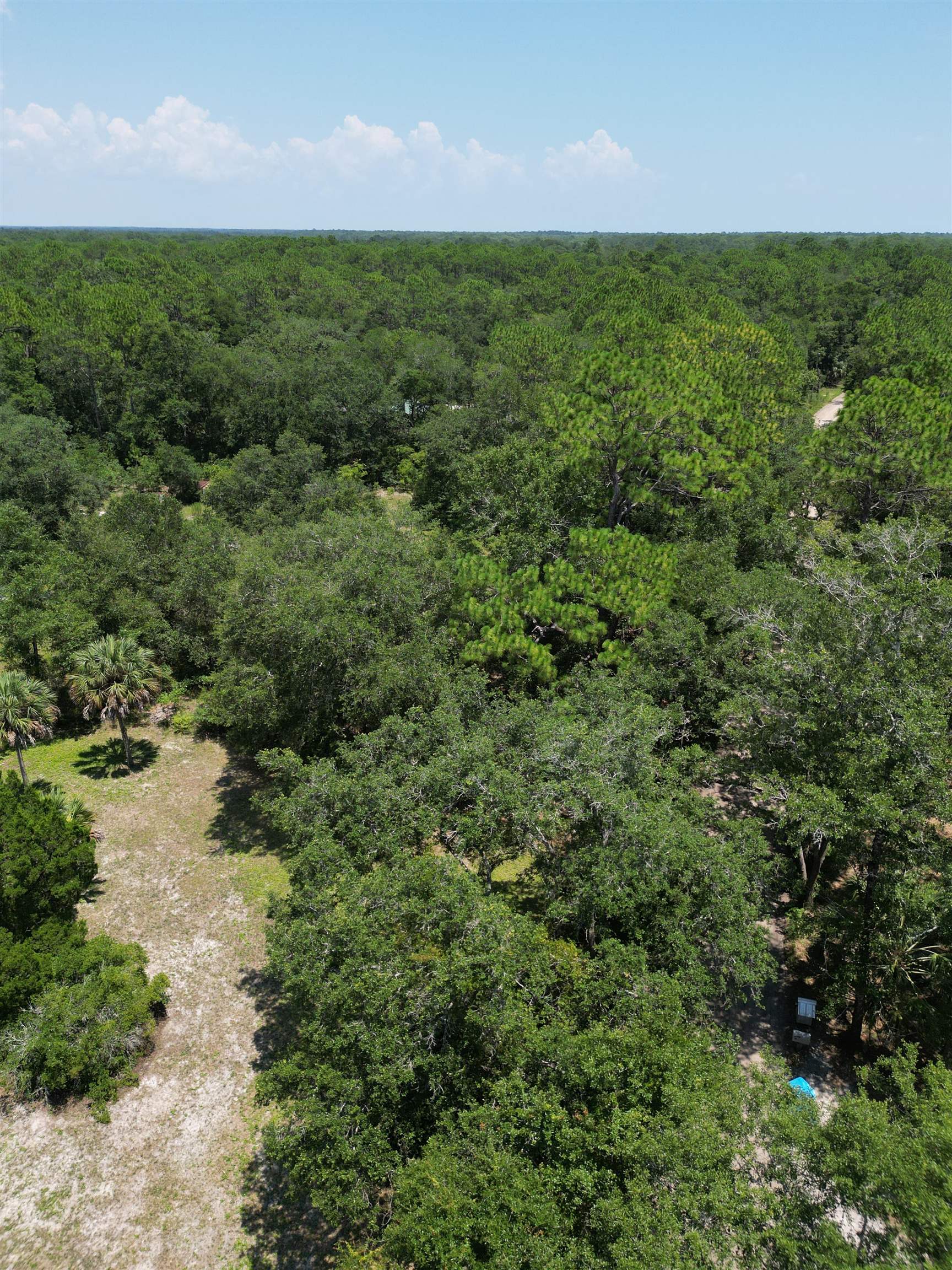 Carter Road Crawfordville, FL 32327 - Photo 4 of 6 Gallery Image 4
