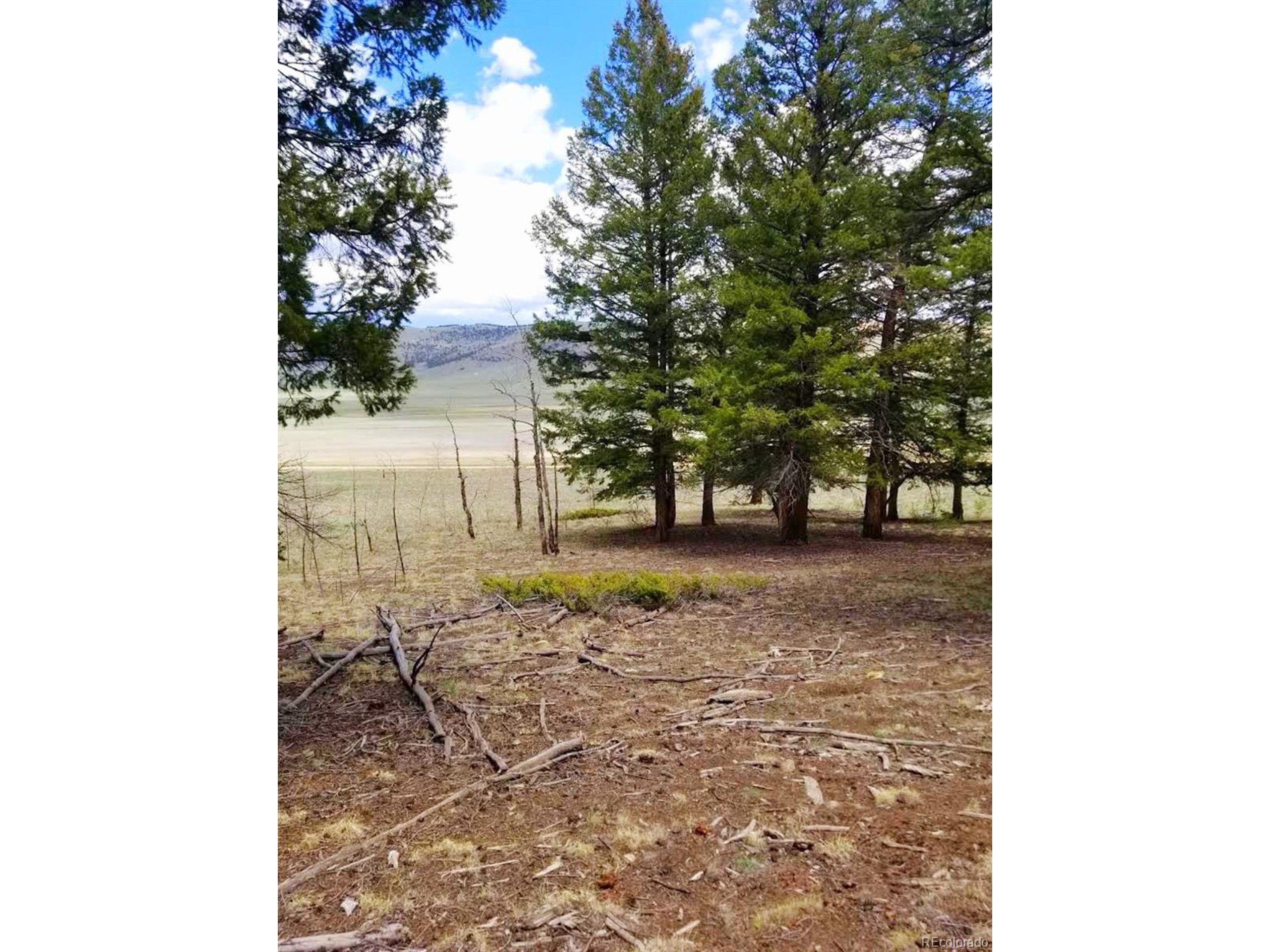 128 Redhill Road Fairplay, CO 80440 - Photo 9 of 10 Gallery Image 9