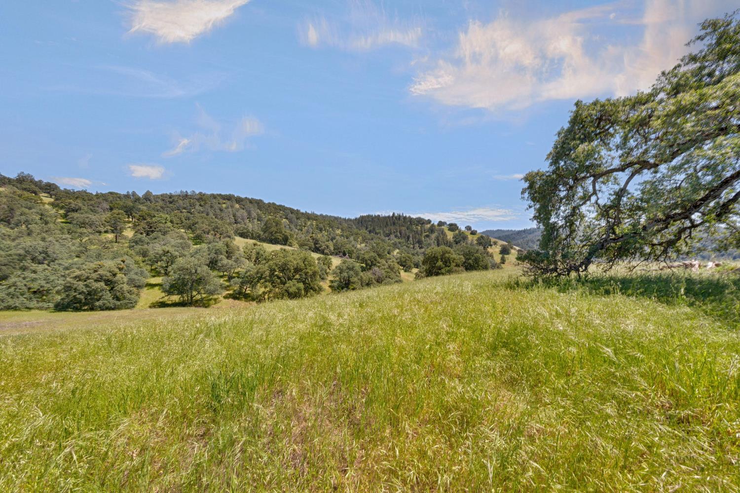 0 Bayne Road Garden Valley, CA 95633 - Photo 36 of 67 Gallery Image 36