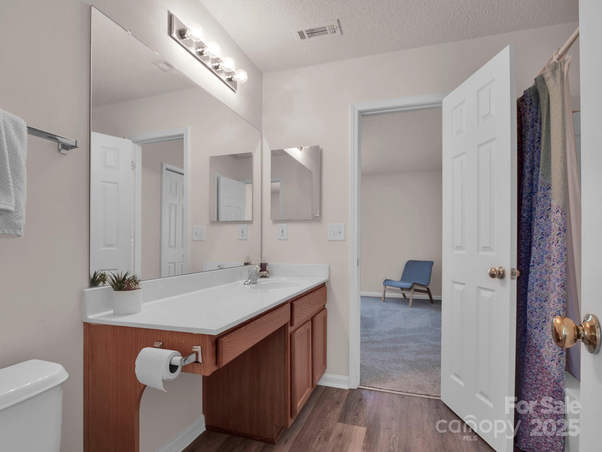 3209 Blythe Ridge Court Charlotte, NC 28213 - Photo 21 of 31 a bathroom with a sink double vanity and a toilet
