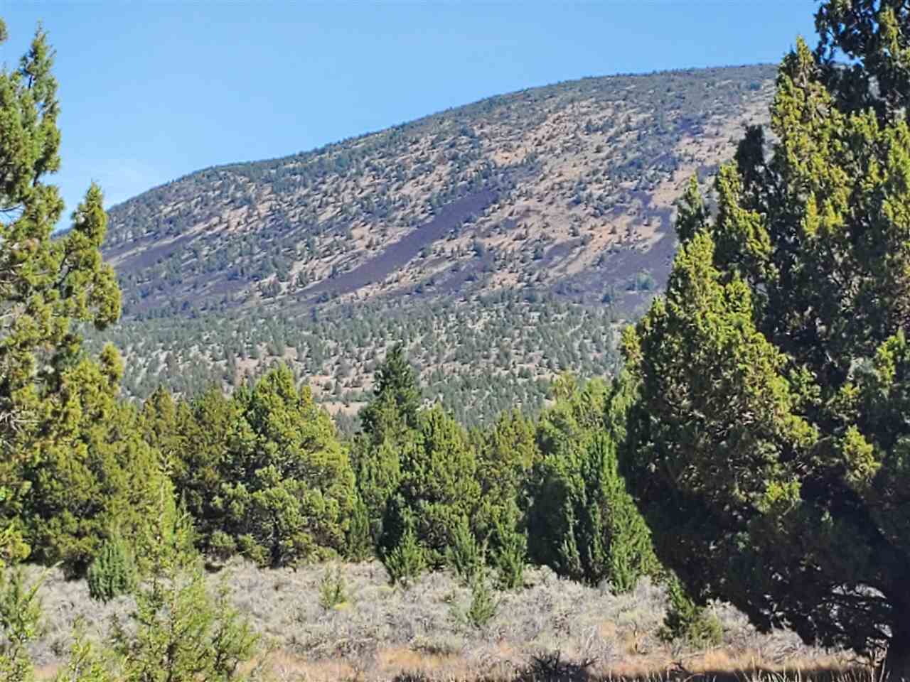 1 Unmarked Road Macdoel, CA 96058 - Photo 1 of 21 Gallery Image 1