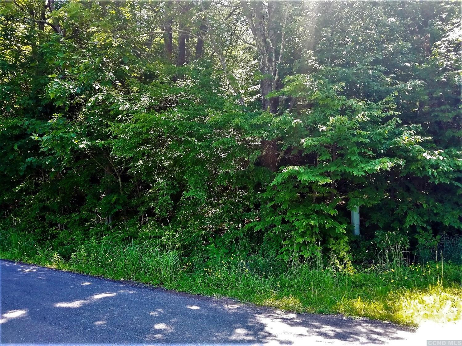 0 Ferris Hill Road Grand Gorge, NY 12434 - Photo 10 of 10 Photo 10