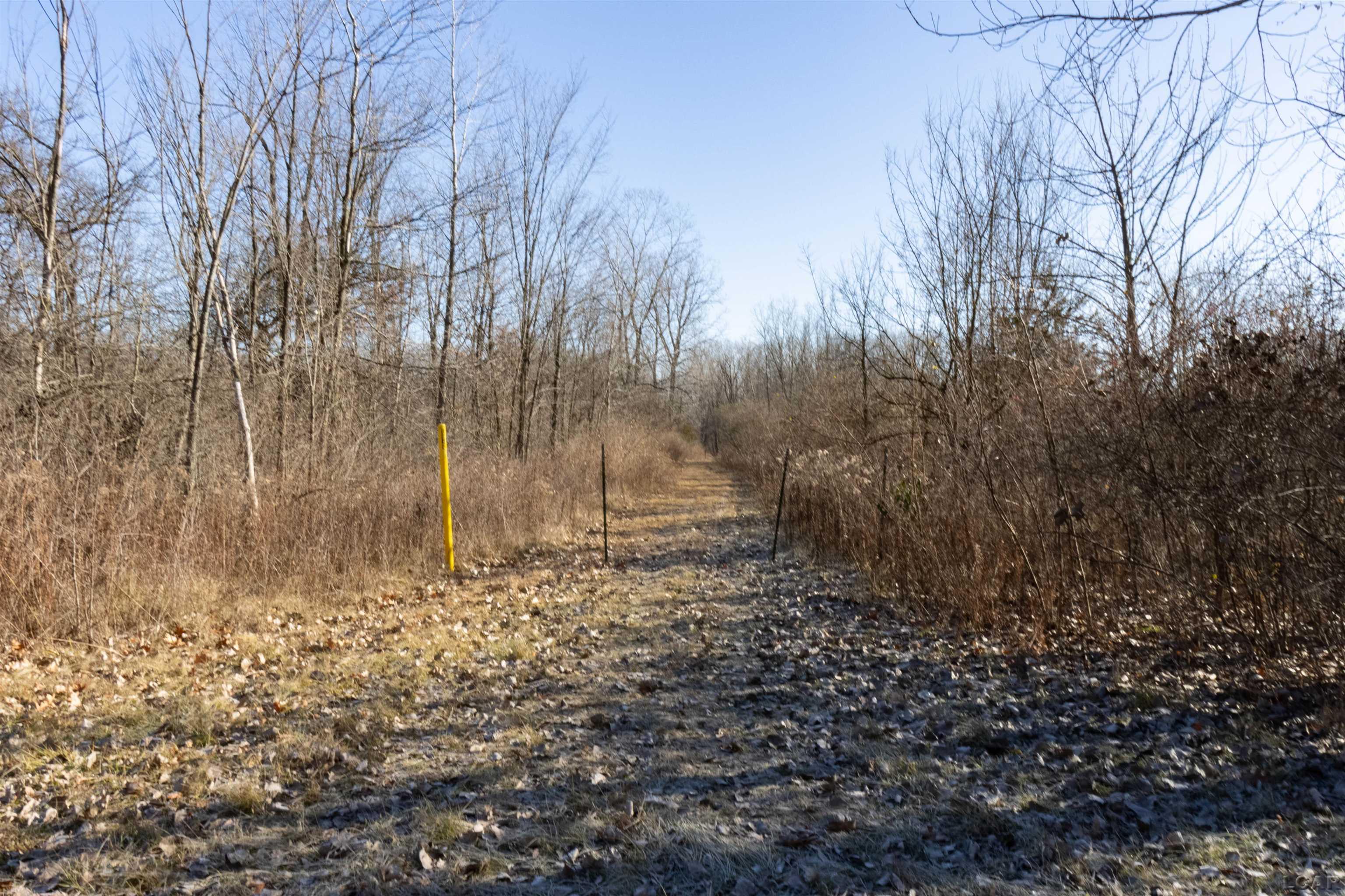 4000 Deerfield Road Adrian, MI 49221 - Photo 16 of 18