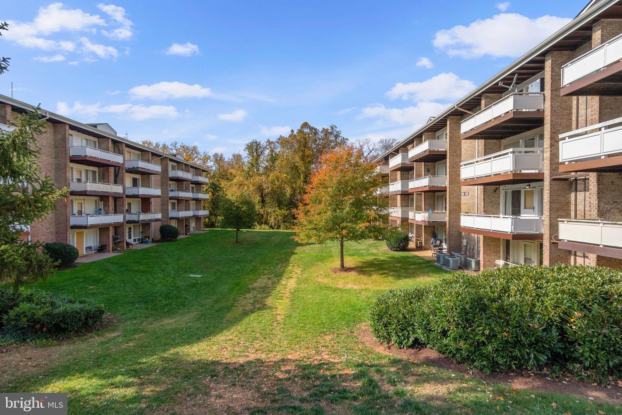 542 Wilson Bridge Drive, Unit 6743 B2 Oxon Hill, MD 20745 - Photo 26 of 27 a view of yard with a big yard and large trees