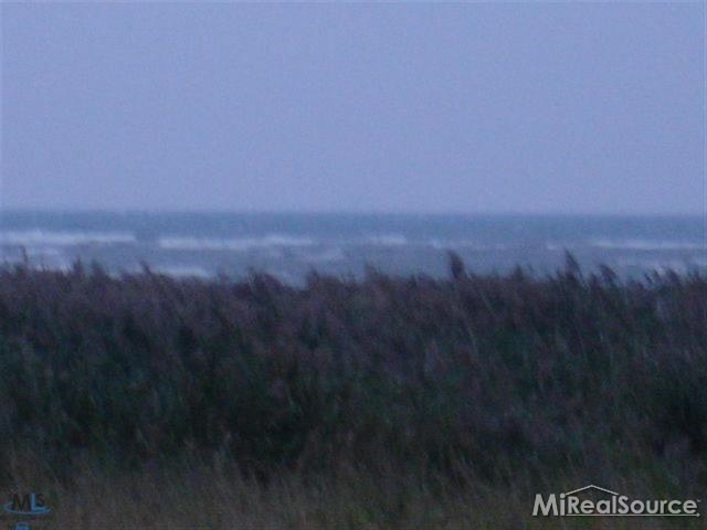 0 Rapson Road Bad Axe, MI 48413 - Photo 10 of 10