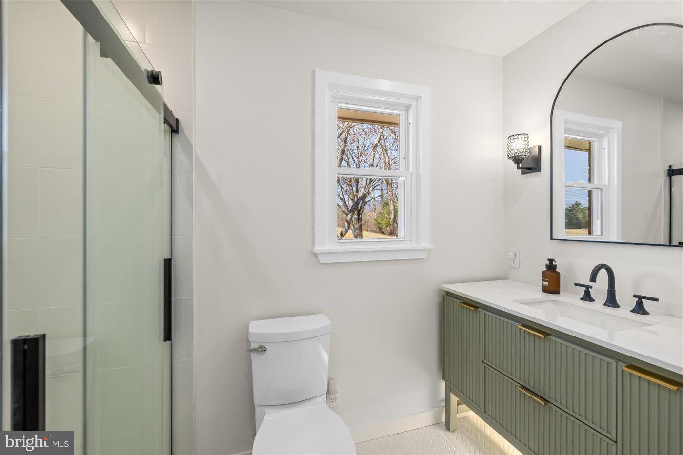 297 Tiger Valley Road Washington, VA 22747 - Photo 14 of 39 a bathroom with a toilet sink and mirror
