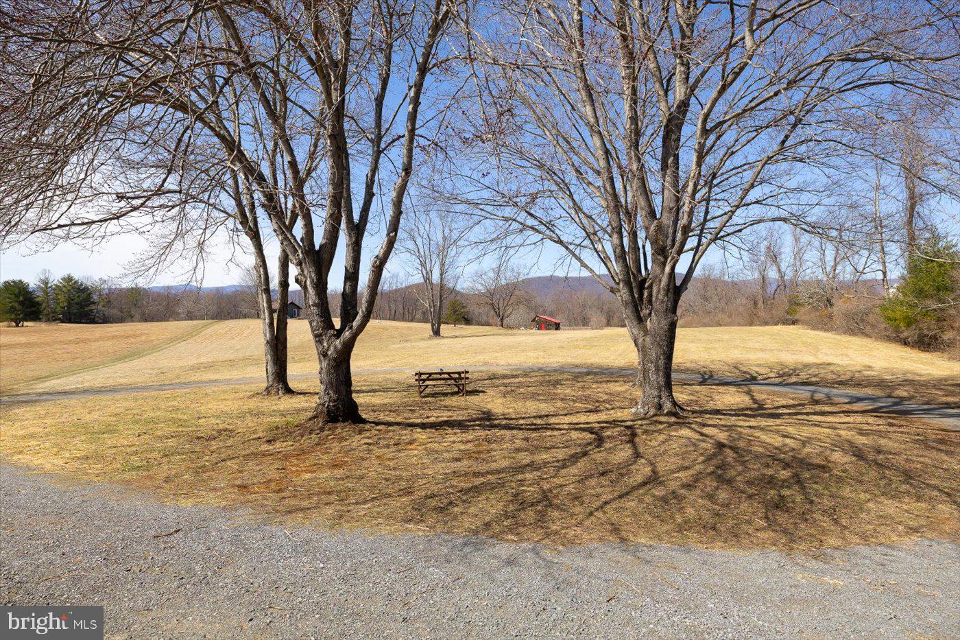 297 Tiger Valley Road Washington, VA 22747 - Photo 34 of 39 a view of yard with trees