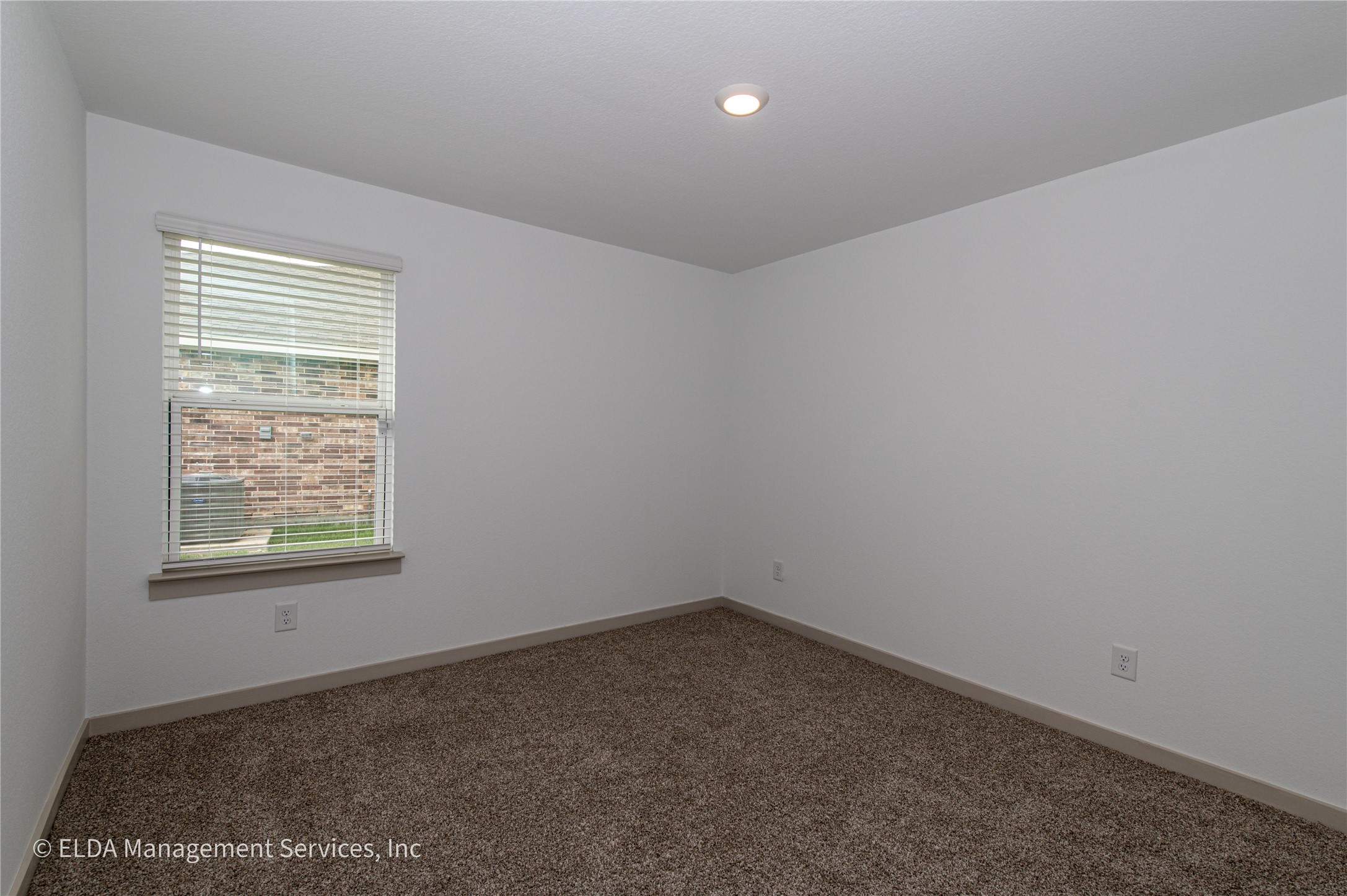 8038 Brahman Lane Rosharon, TX 77583 - Photo 16 of 24
