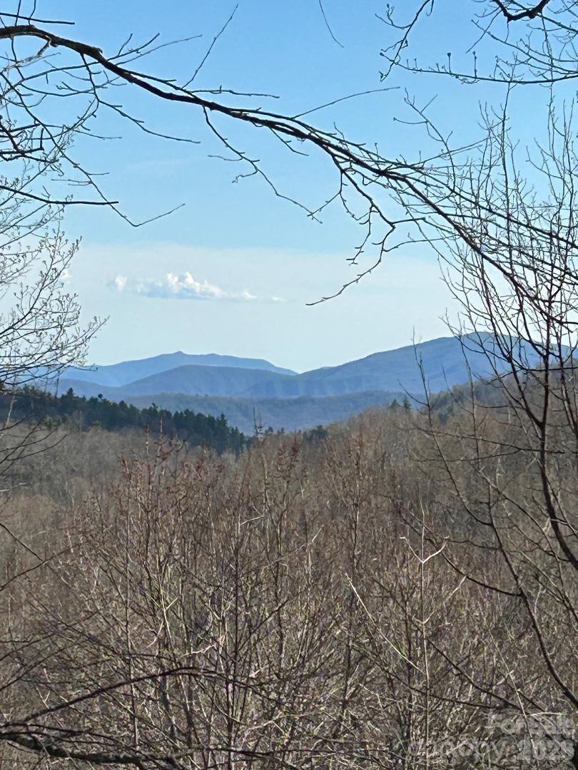 Lot 32 Strawberry Ridge Road Spruce Pine, NC 28777 - Photo 15 of 16