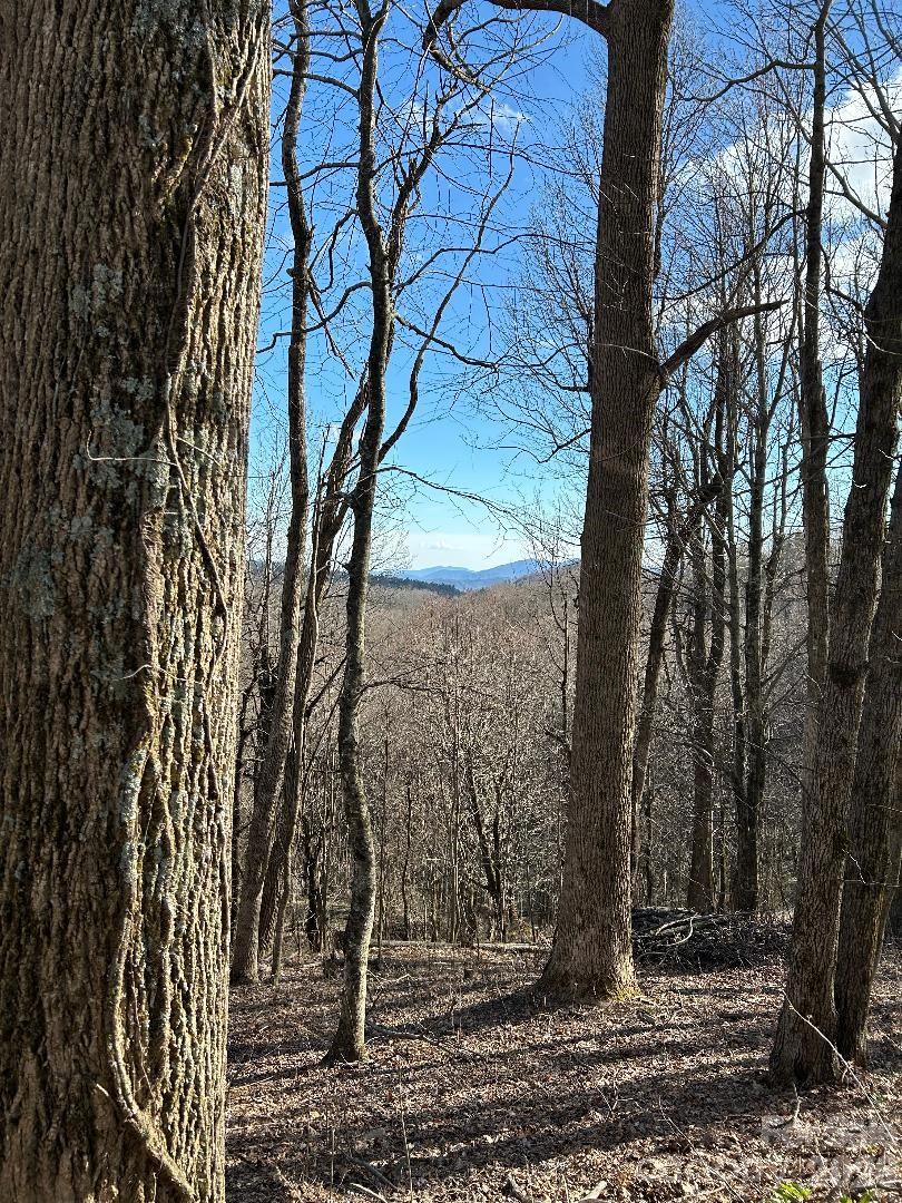 Lot 32 Strawberry Ridge Road Spruce Pine, NC 28777 - Photo 16 of 16