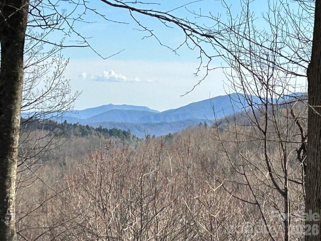 Lot 32 Strawberry Ridge Road Spruce Pine, NC 28777 - Photo 2 of 16