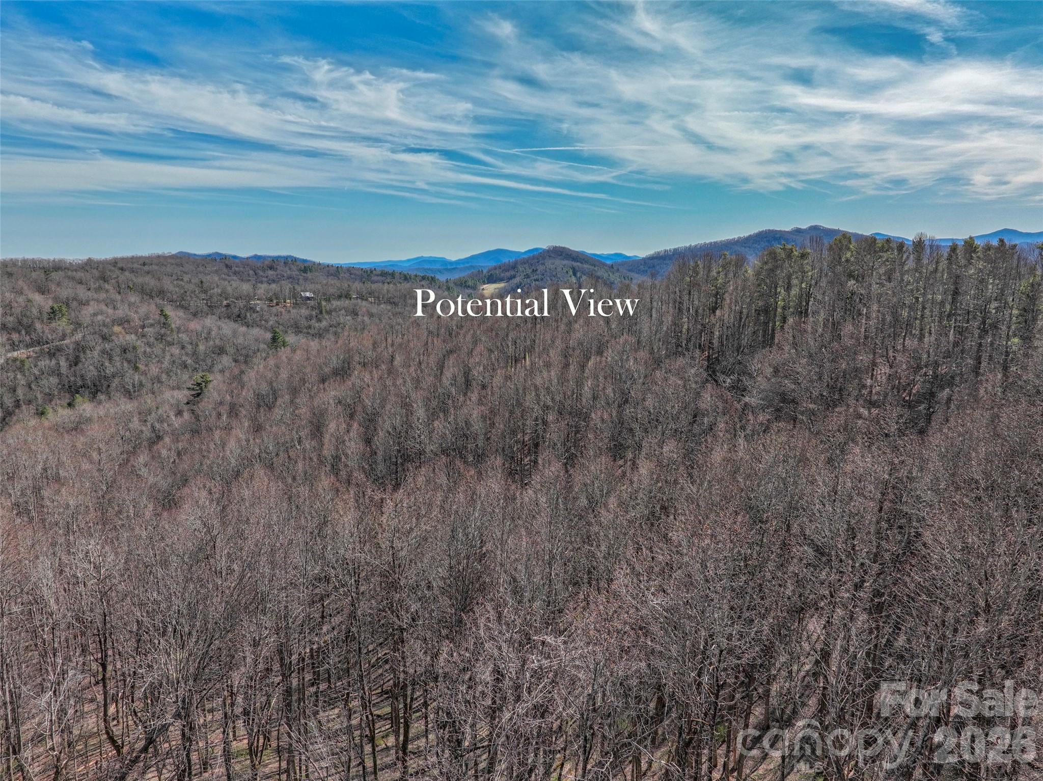 Lot 32 Strawberry Ridge Road Spruce Pine, NC 28777 - Photo 6 of 16