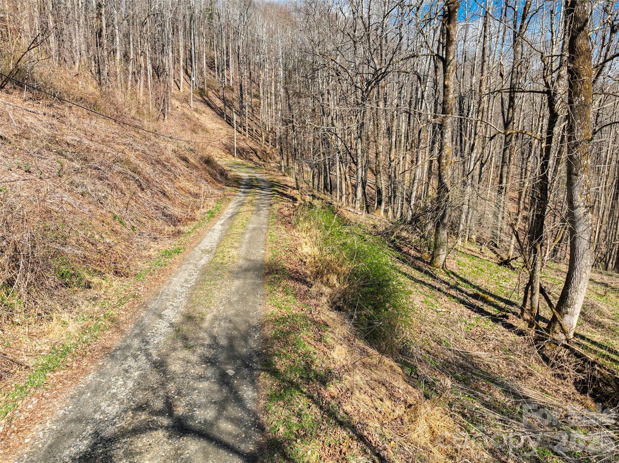 Lot 32 Strawberry Ridge Road Spruce Pine, NC 28777 - Photo 7 of 16