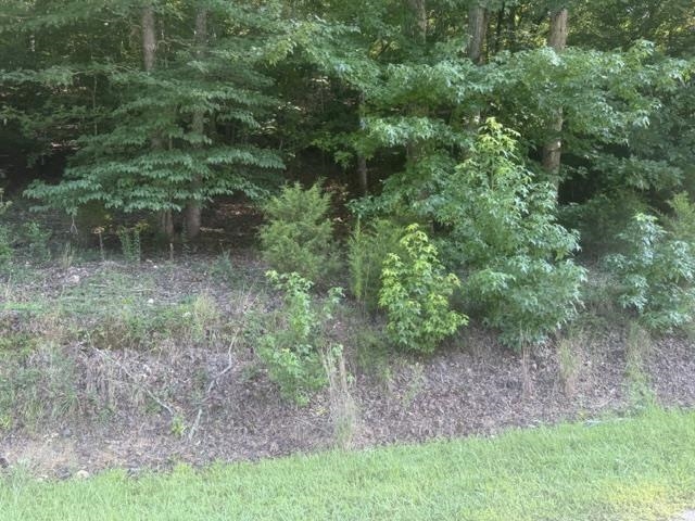 5 Carroll Hollow Road Waynesboro, TN 38485 - Photo 18 of 23