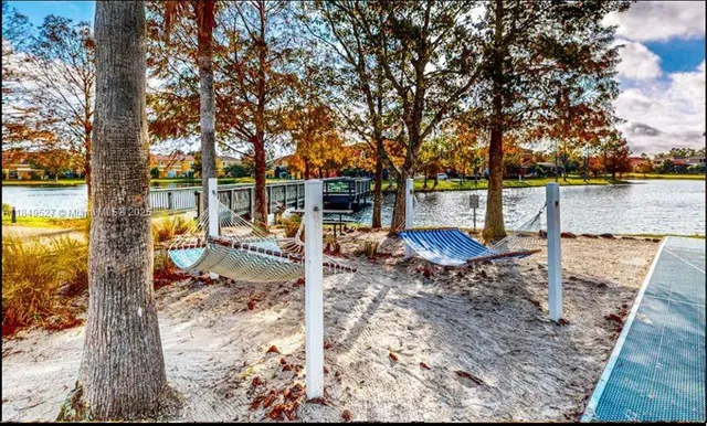 a view of a park with palm trees