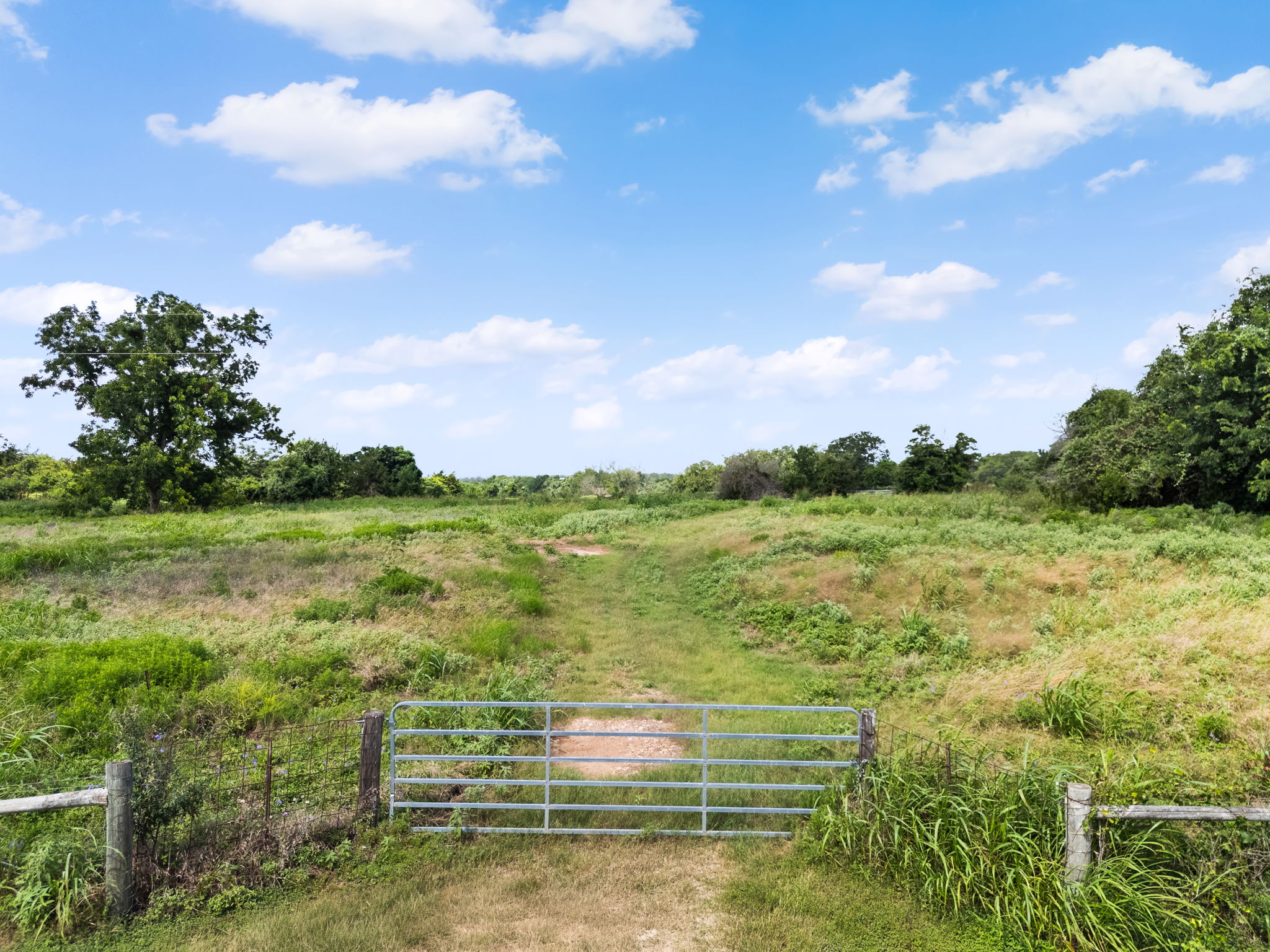0 Thielemann Road Industry, TX 78944 - Photo 4 of 40 A rural setting with verdant fields under a clear sky, offering a peaceful natural landscape.