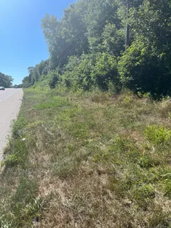 a view of a lush green forest with lawn chairs