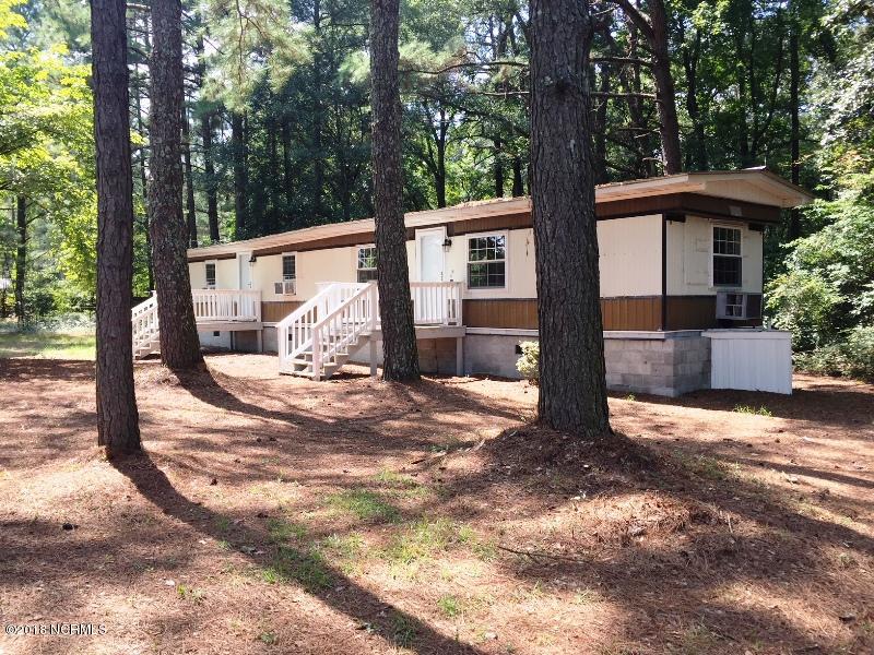 772 Hallsville Road Beulaville, NC 28518 - Photo 1 of 25 Primary View