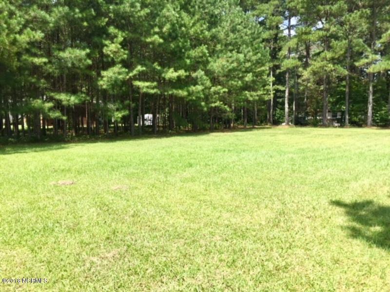 772 Hallsville Road Beulaville, NC 28518 - Photo 3 of 25 3 IMG_1884