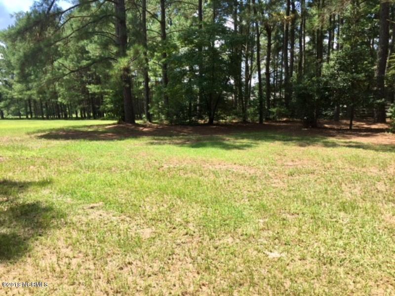 772 Hallsville Road Beulaville, NC 28518 - Photo 10 of 25 IMG_1895