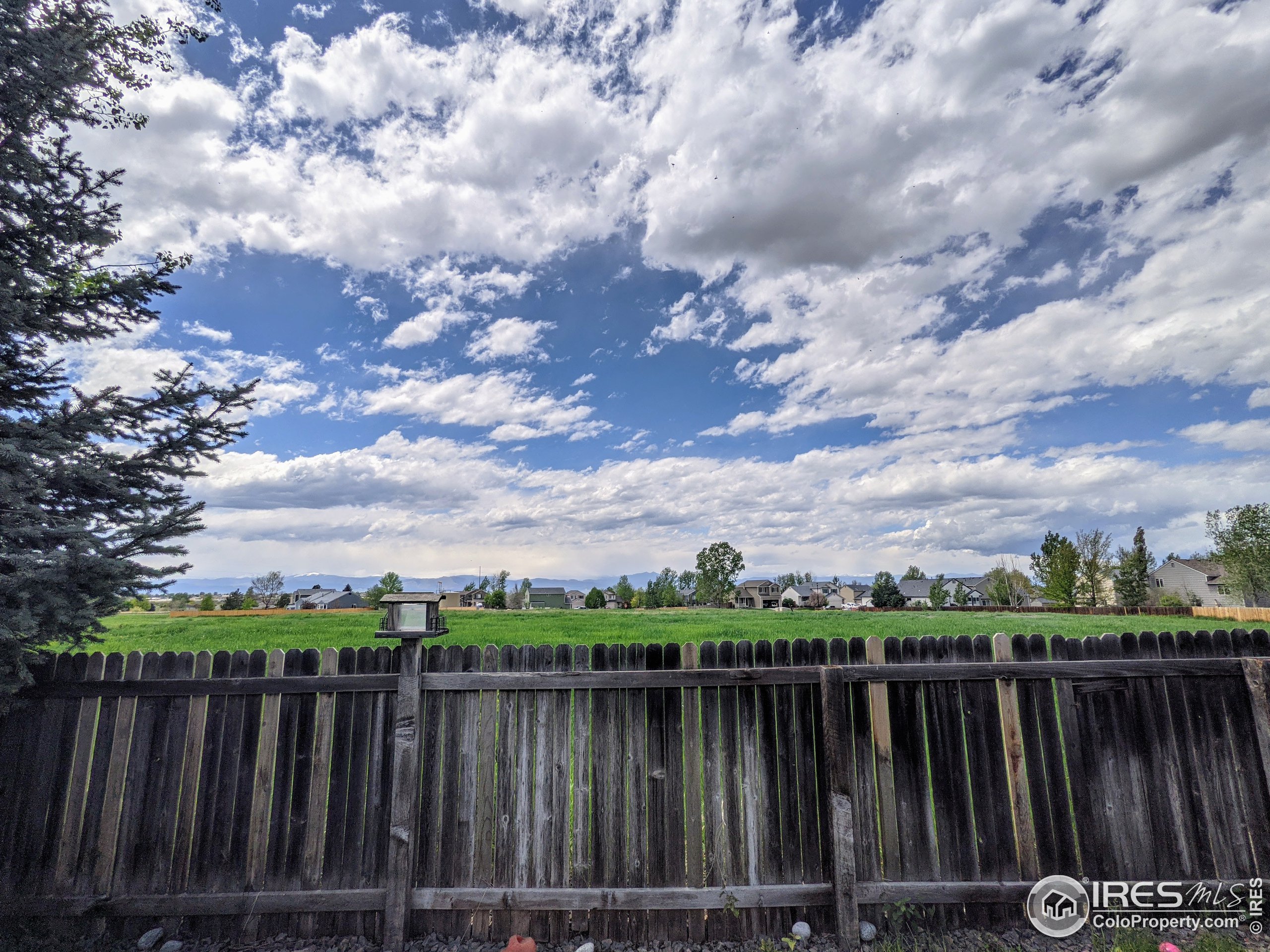 5347 Badger Lane Frederick, CO 80504 - Photo 28 of 29
