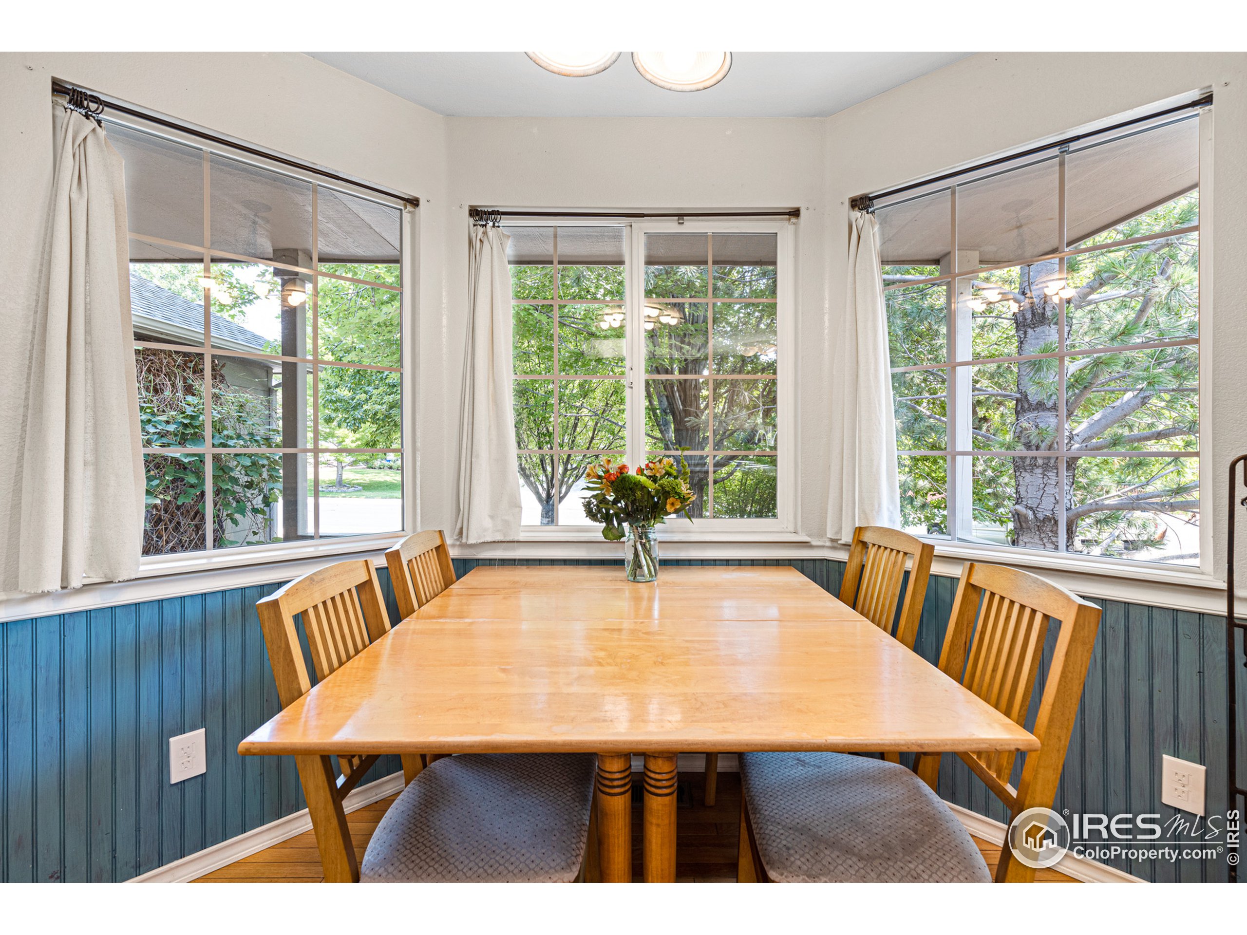 5347 Badger Lane Frederick, CO 80504 - Photo 7 of 29