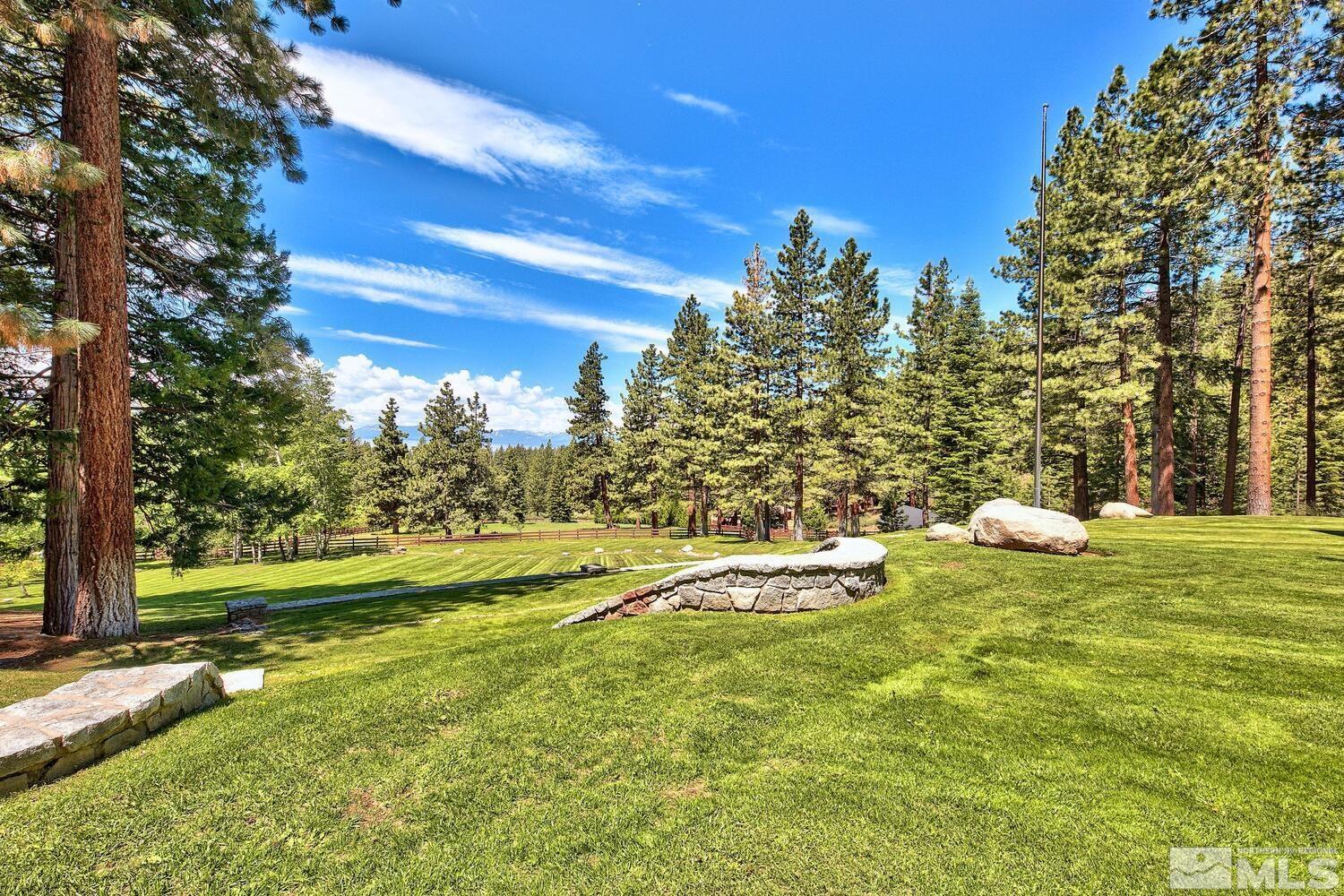 202 Pine Tree Lane Glenbrook, NV 89413 - Photo 26 of 40 a yard with lots of green space and trees in the background