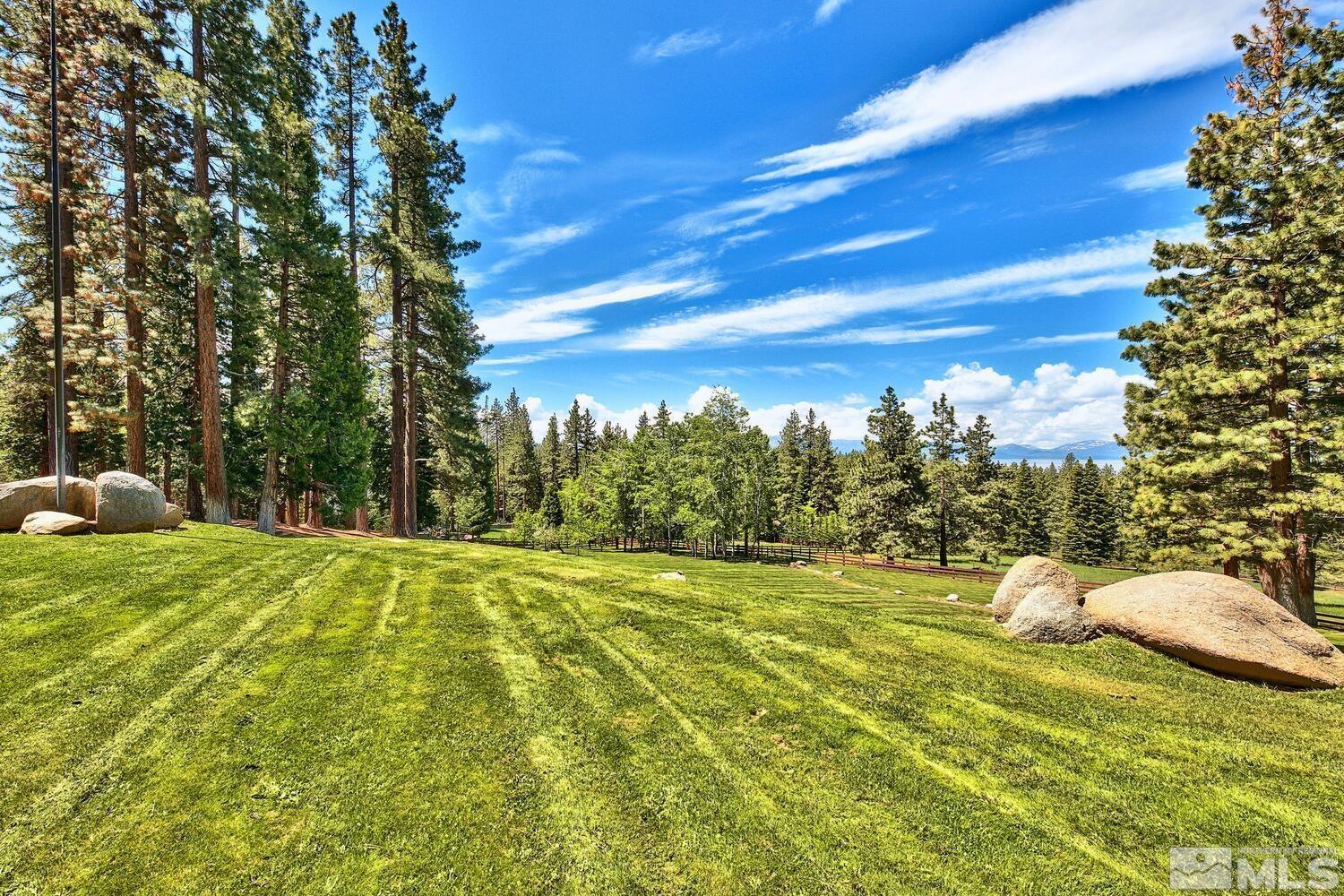 202 Pine Tree Lane Glenbrook, NV 89413 - Photo 27 of 40 a view of an outdoor space and yard