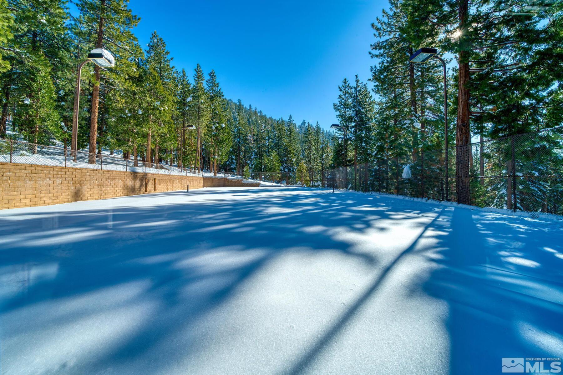 202 Pine Tree Lane Glenbrook, NV 89413 - Photo 29 of 40 a view of a swimming pool with a yard